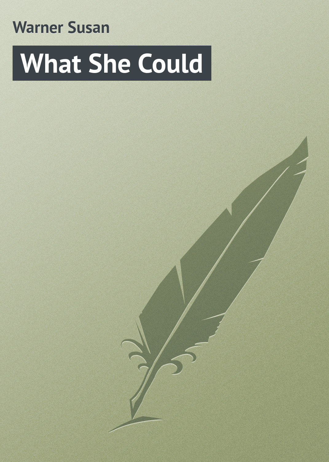 Обложка книги «What She Could»