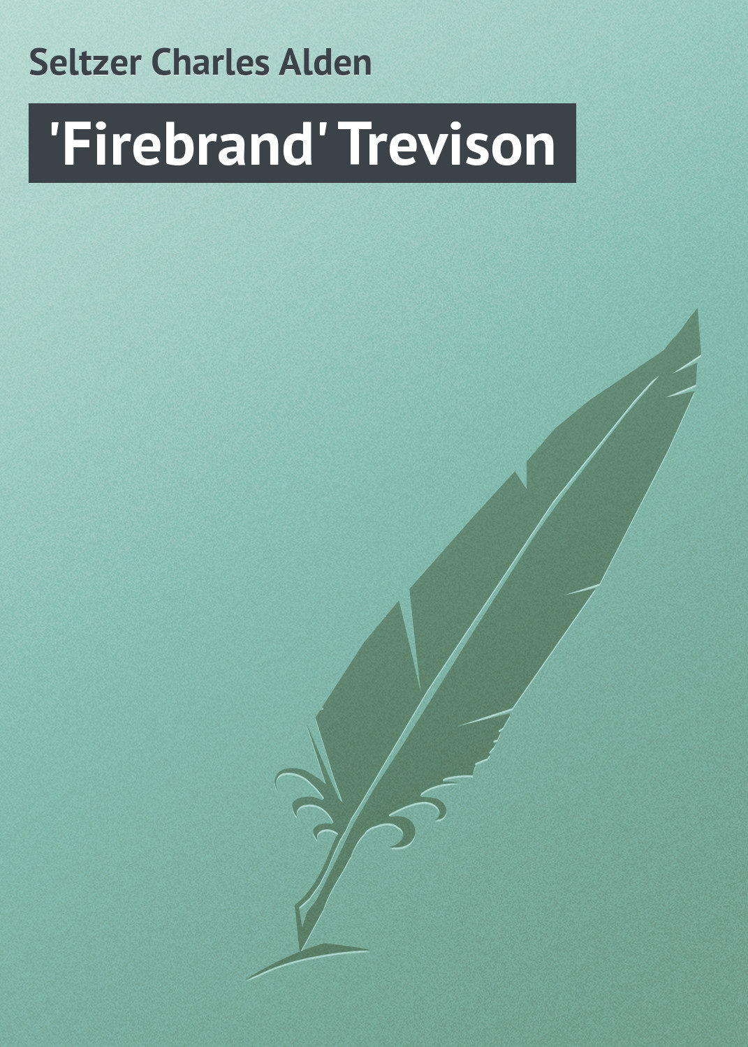 Обложка книги «'Firebrand' Trevison»