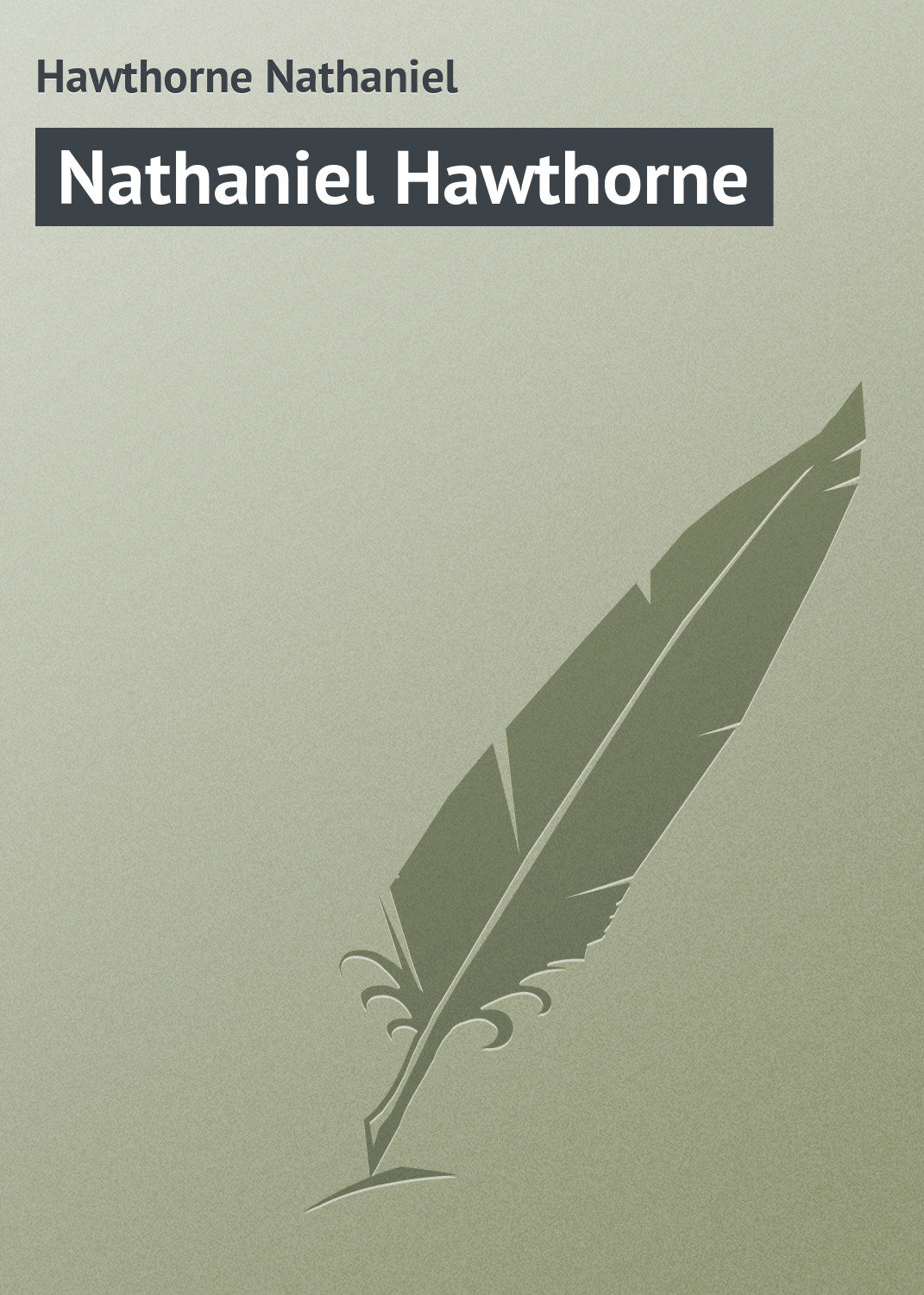 Обложка книги «Nathaniel Hawthorne»