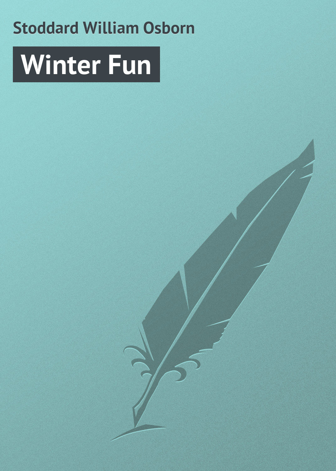 Обложка книги «Winter Fun»