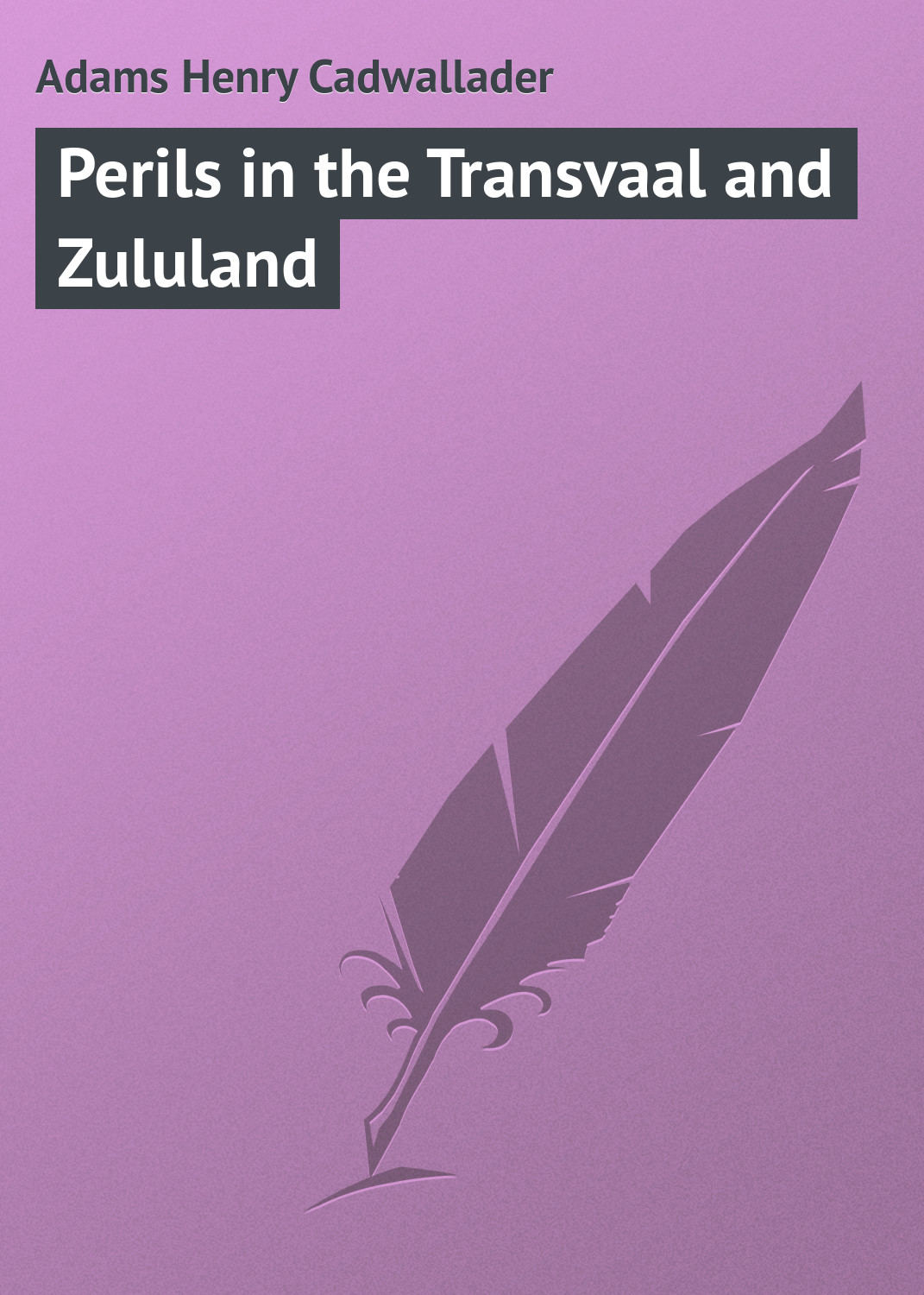 Обложка книги «Perils in the Transvaal and Zululand»