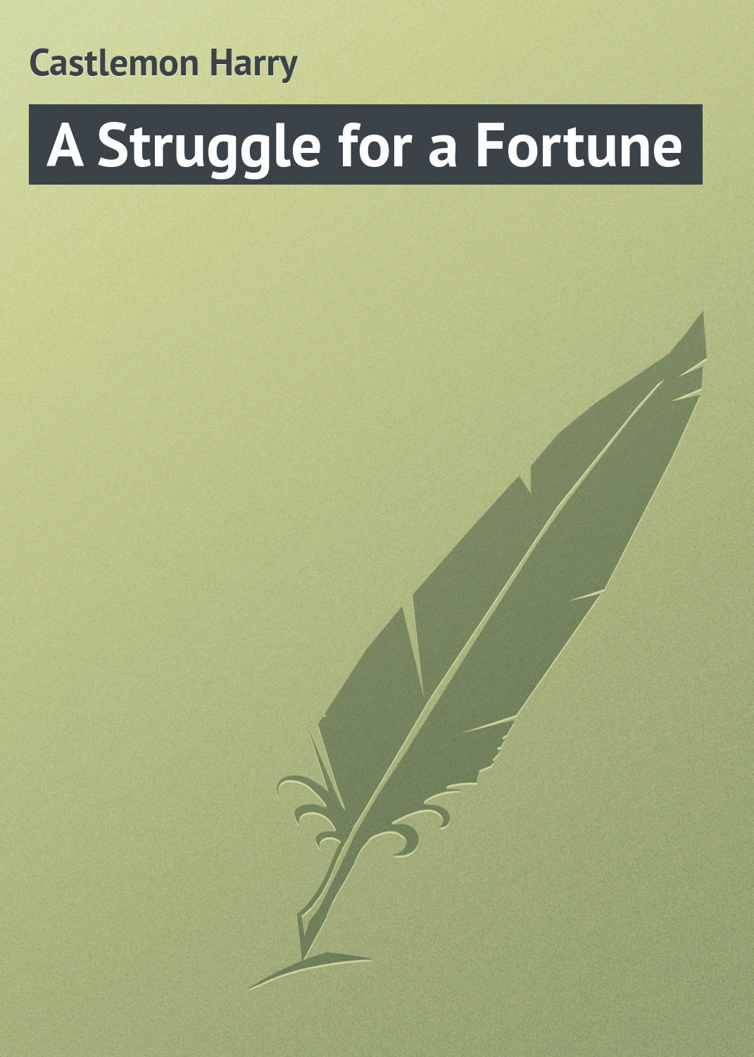 Обложка книги «A Struggle for a Fortune»