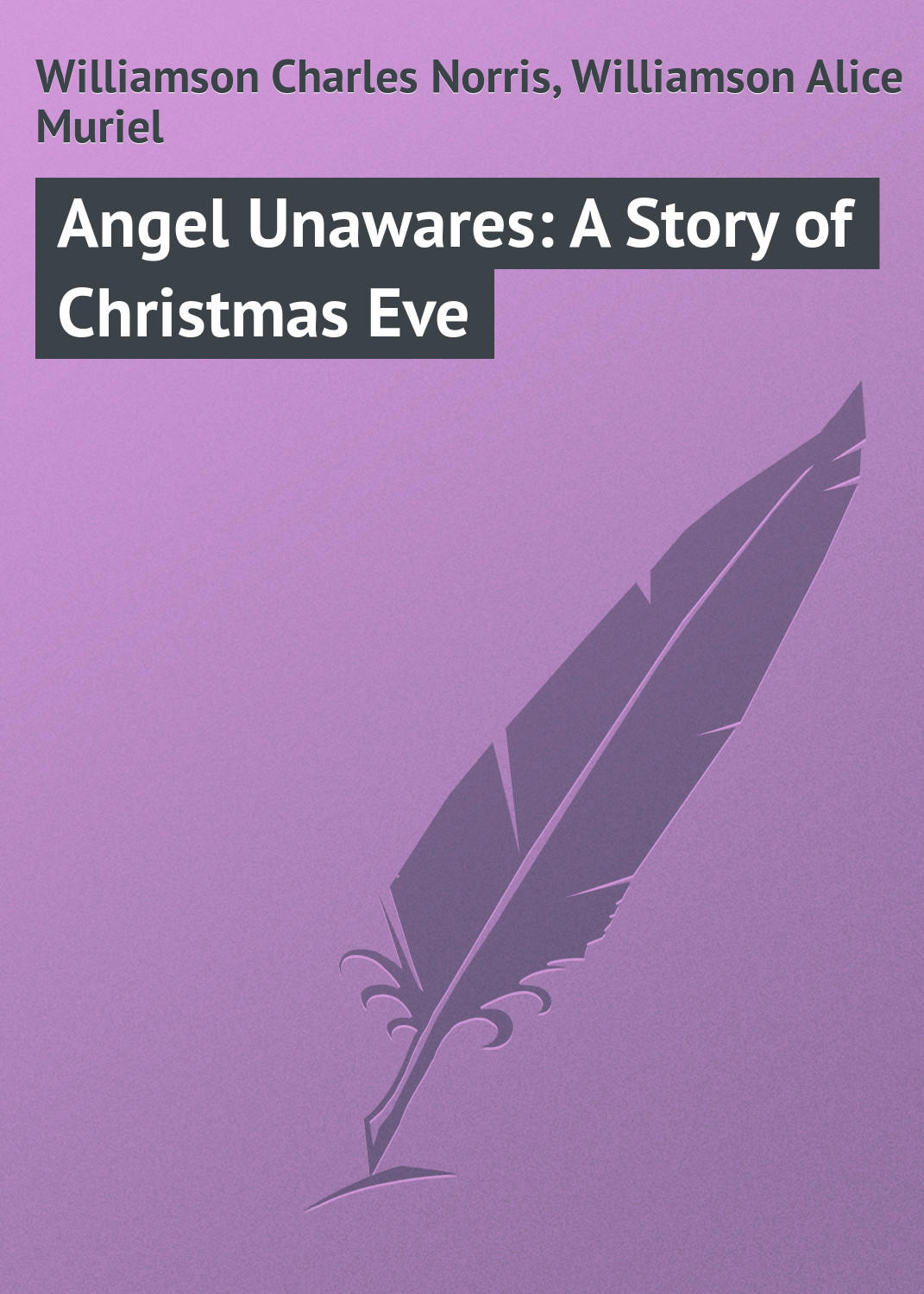 Обложка книги «Angel Unawares: A Story of Christmas Eve»