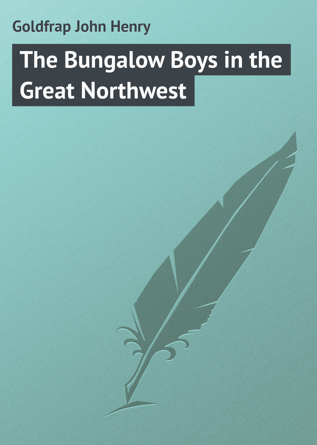 Обложка книги «The Bungalow Boys in the Great Northwest»