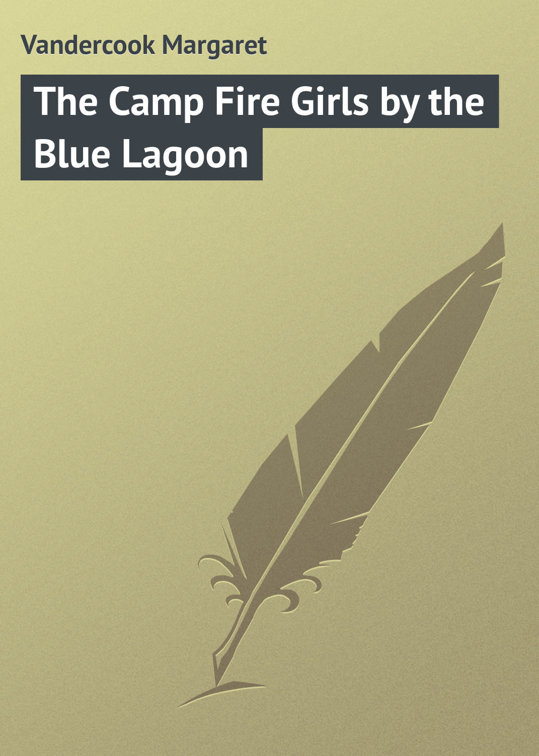 Обложка книги «The Camp Fire Girls by the Blue Lagoon»