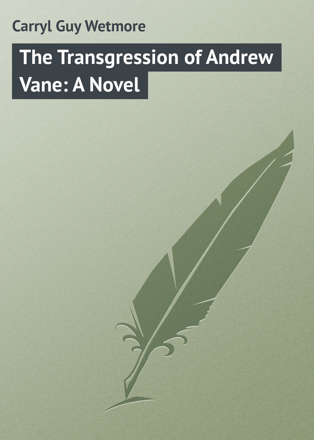 Обложка книги «The Transgression of Andrew Vane: A Novel»