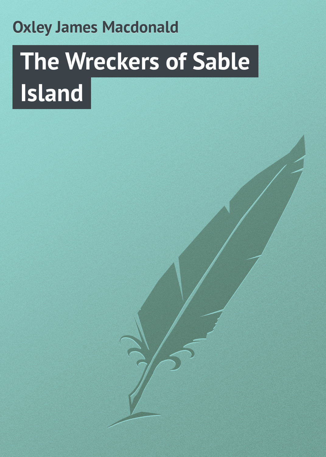 Обложка книги «The Wreckers of Sable Island»