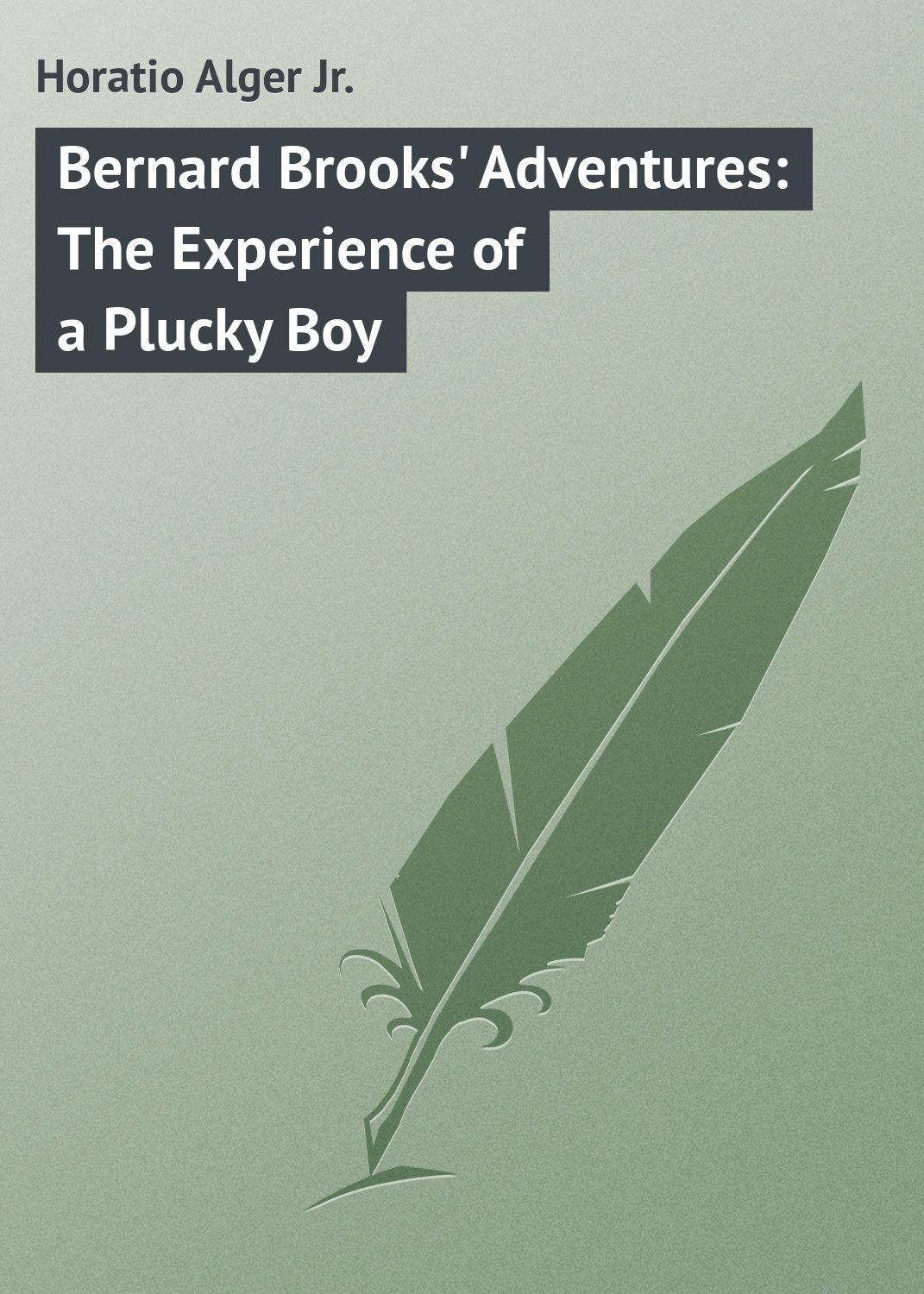Обложка книги «Bernard Brooks' Adventures: The Experience of a Plucky Boy»