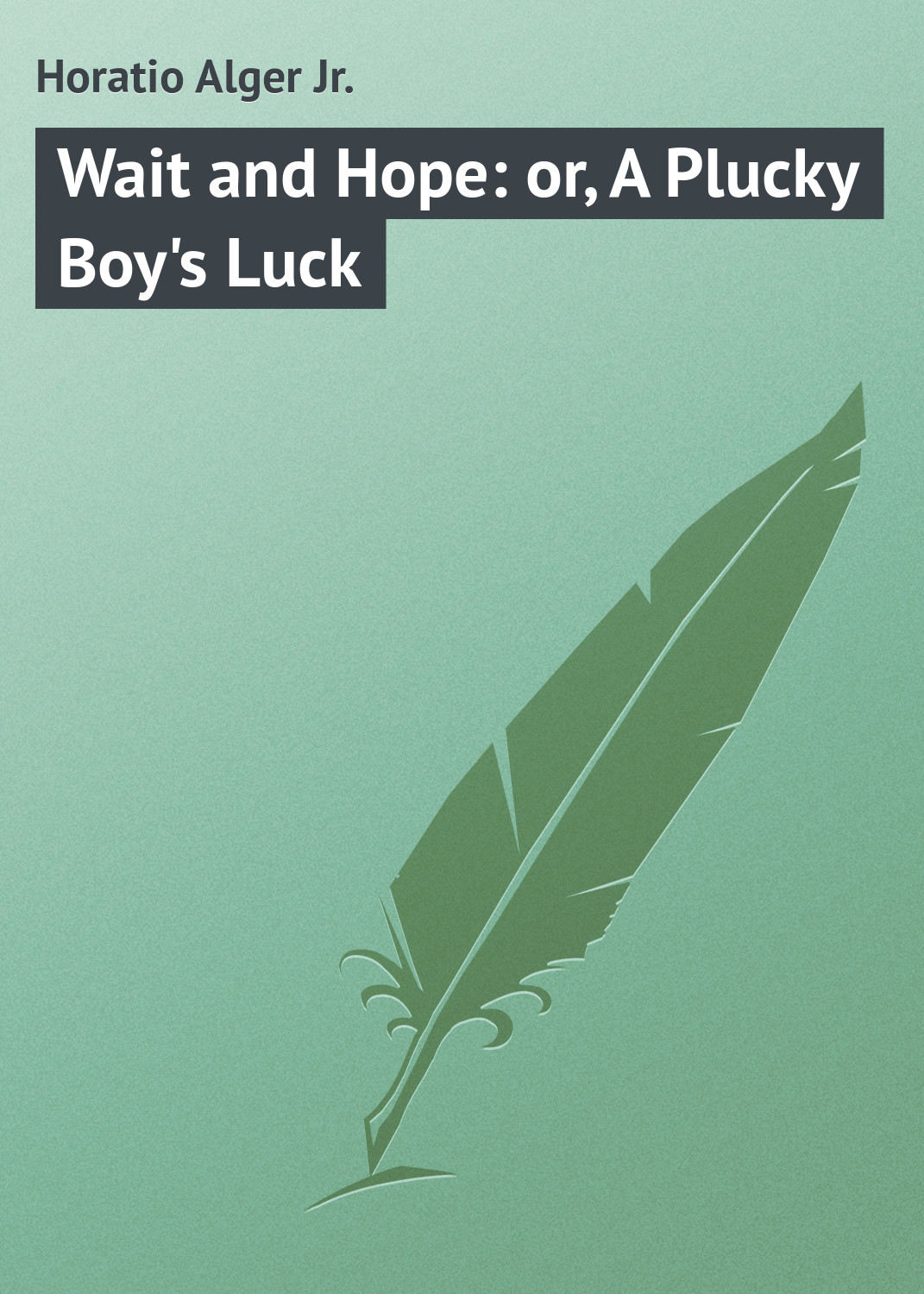 Обложка книги «Wait and Hope: or, A Plucky Boy's Luck»