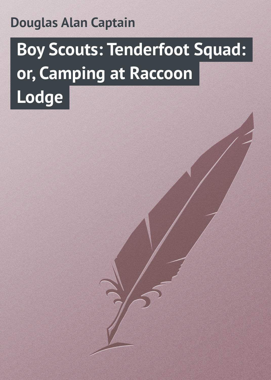 Обложка книги «Boy Scouts: Tenderfoot Squad: or, Camping at Raccoon Lodge»