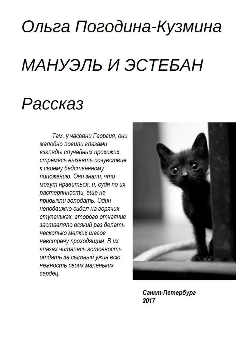 Обложка книги «Мануэль и Эстебан»