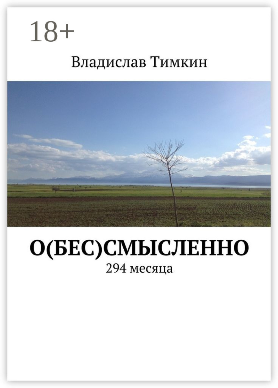 Обложка книги «О(бес)смысленно. 294 месяца»