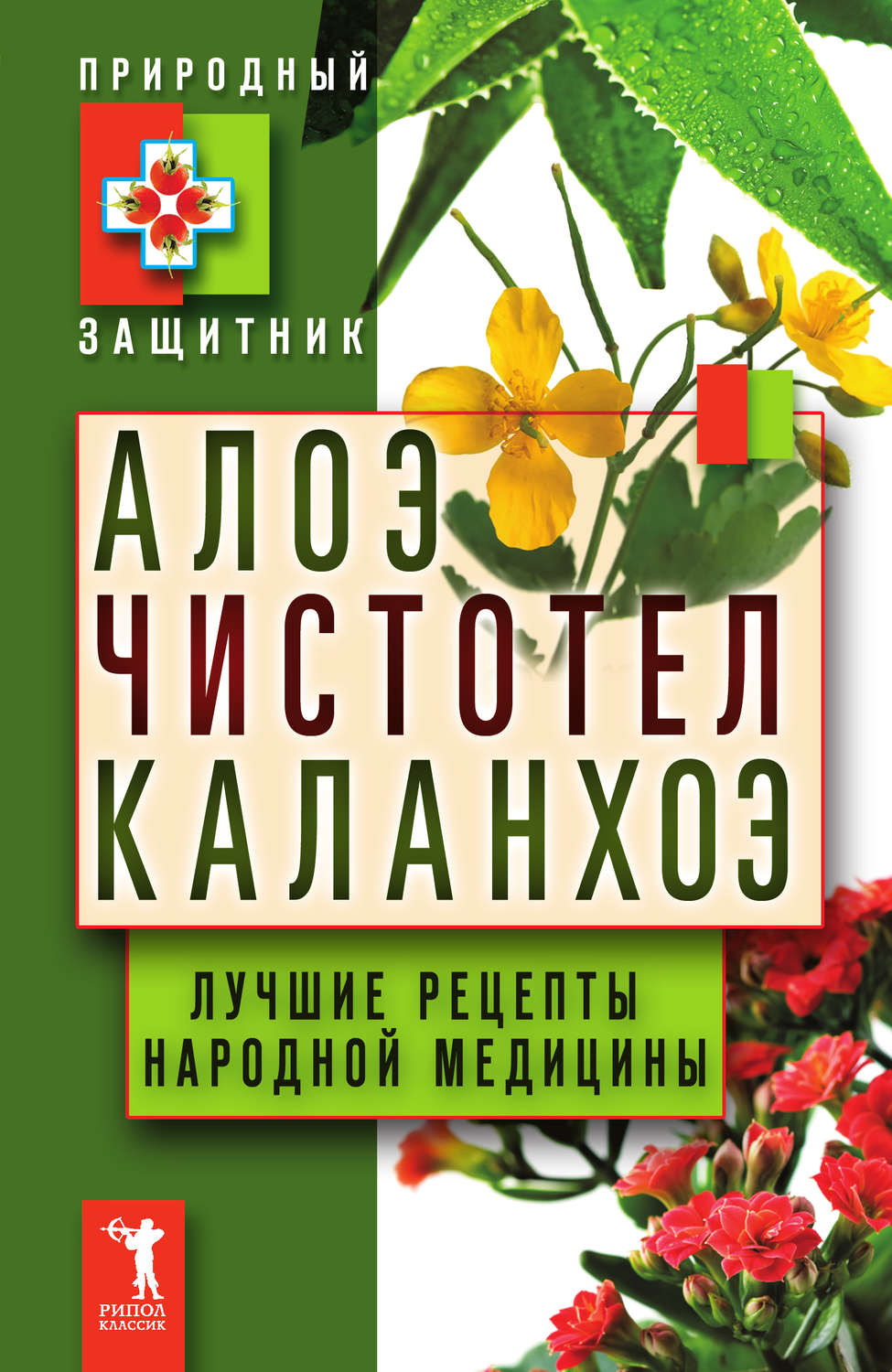 Обложка книги «Алоэ, чистотел, каланхоэ. Лучшие рецепты народной медицины»