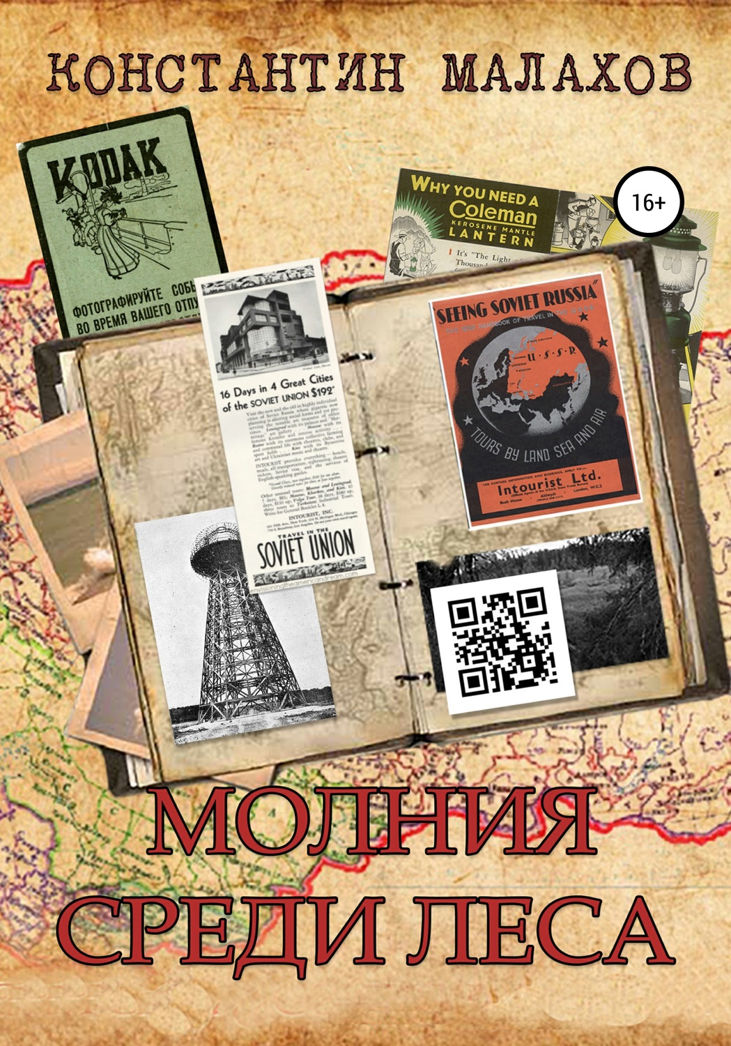 Обложка книги «Молния среди леса»