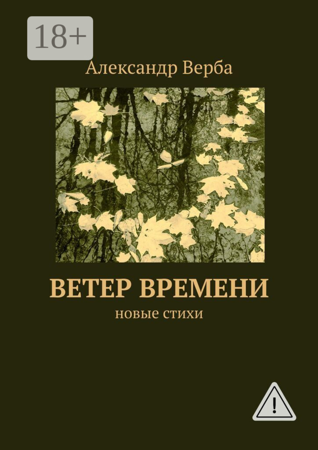 Обложка книги «Ветер времени. Новые стихи»