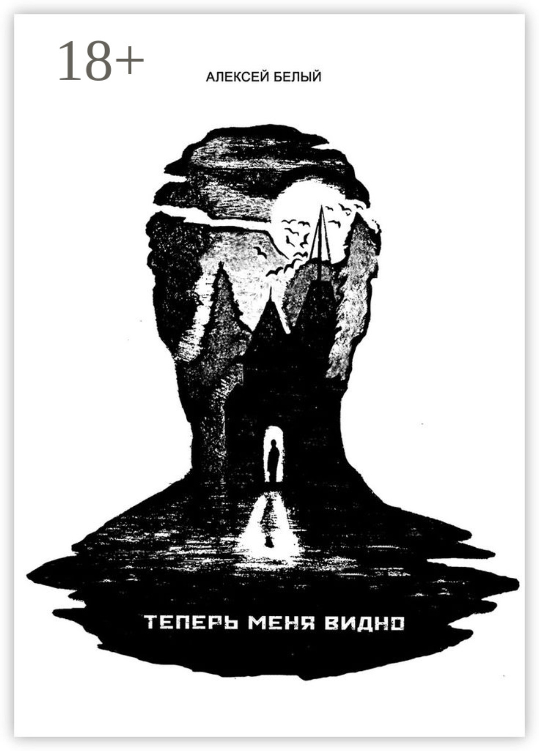 Обложка книги «Теперь меня видно»