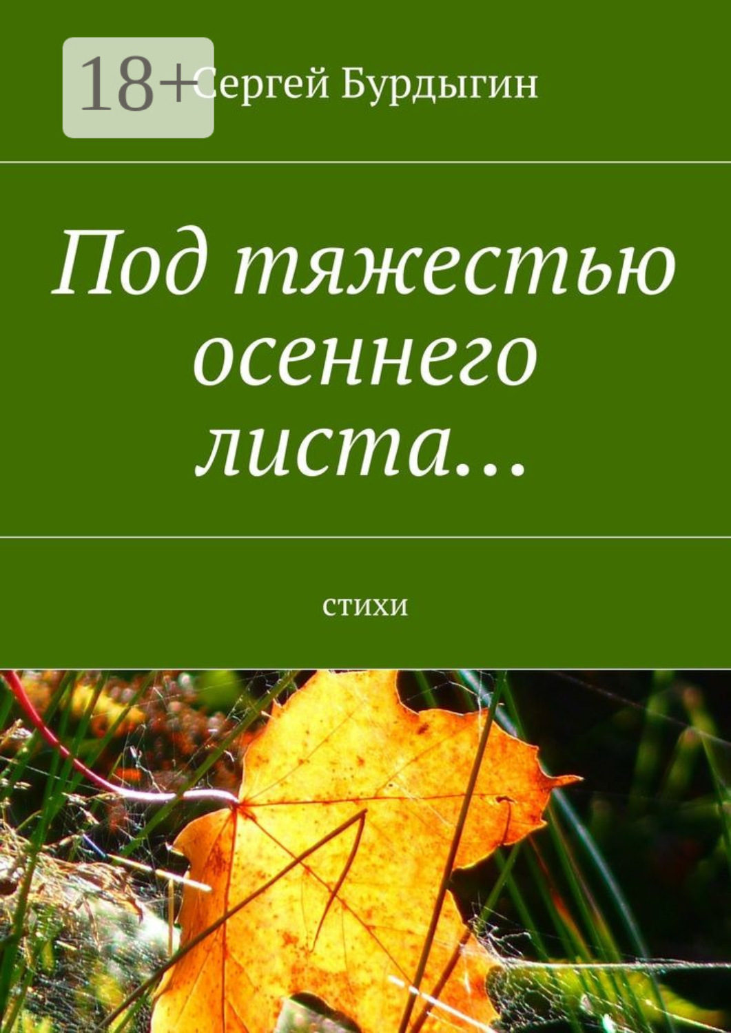 Обложка книги «Под тяжестью осеннего листа… Стихи»