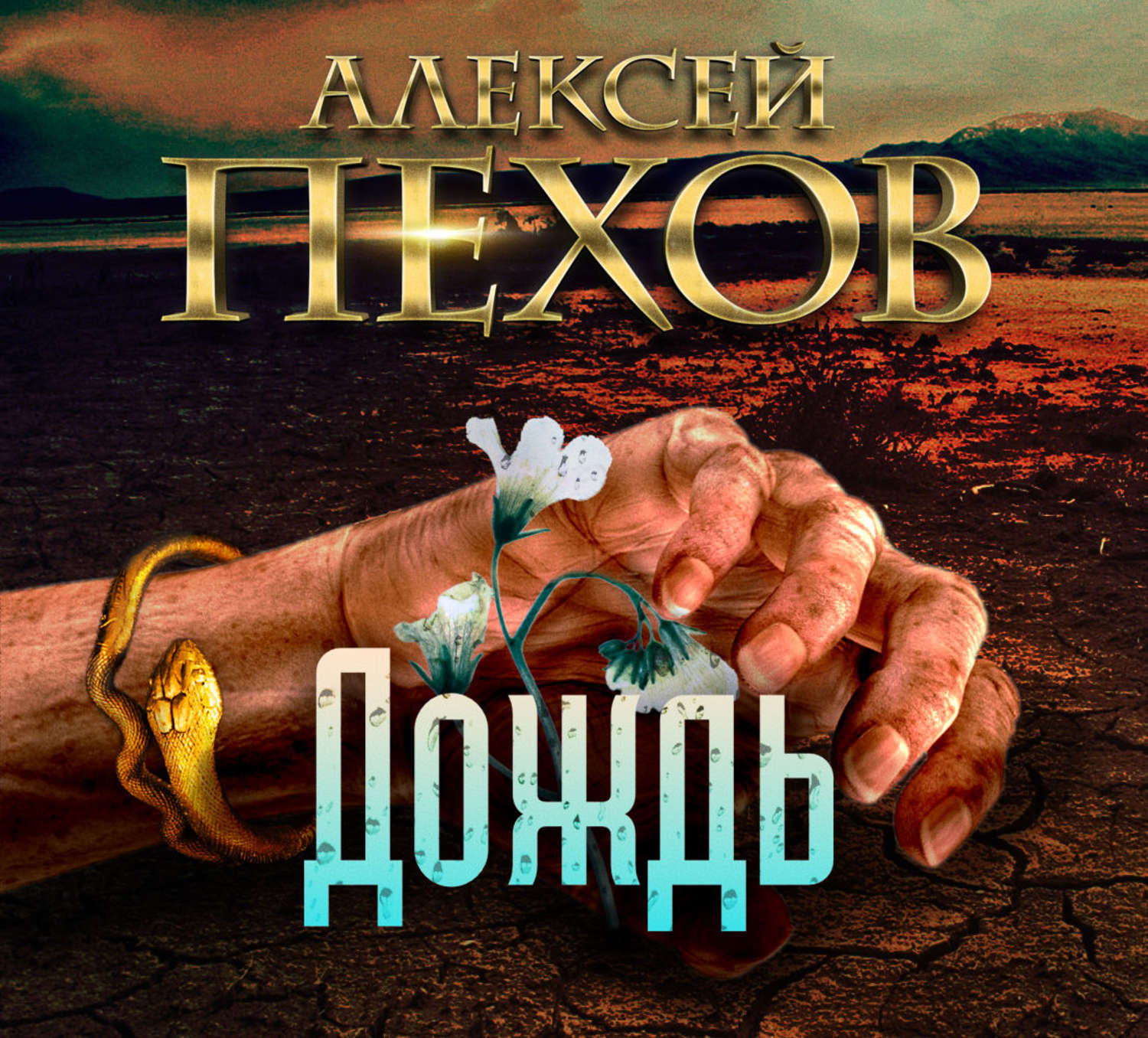 Обложка книги «Дождь»