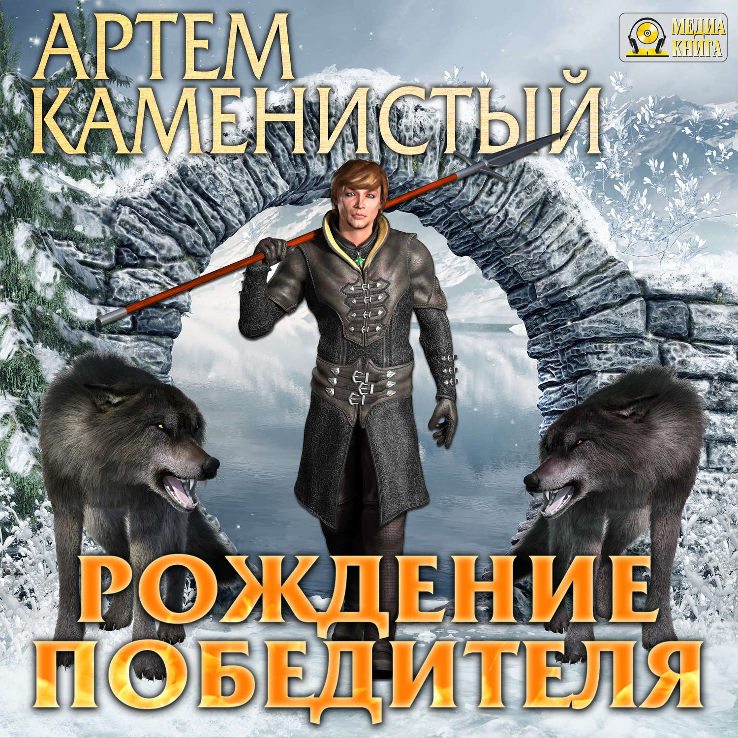 Обложка книги «Рождение победителя»