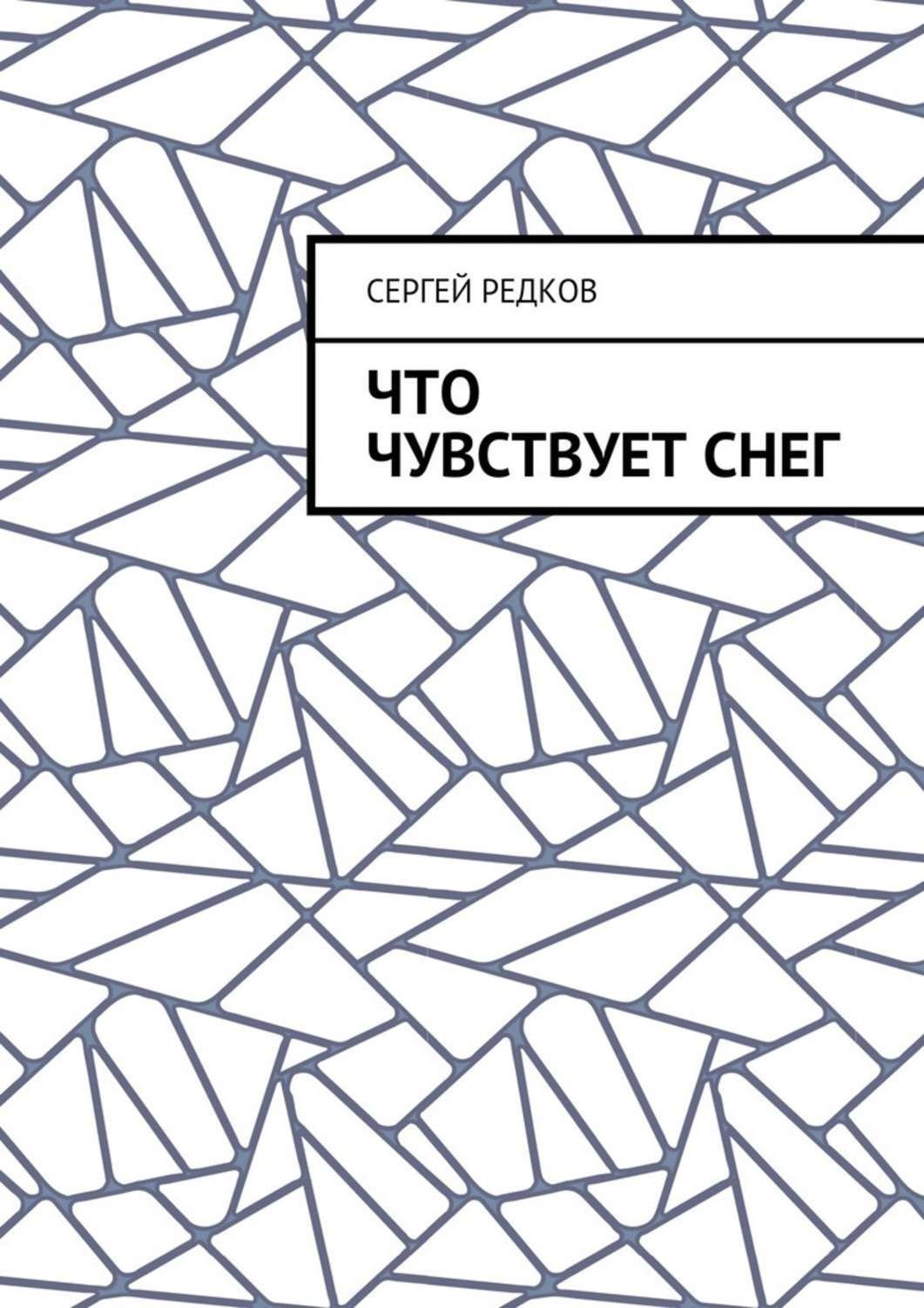 Обложка книги «Что чувствует снег»