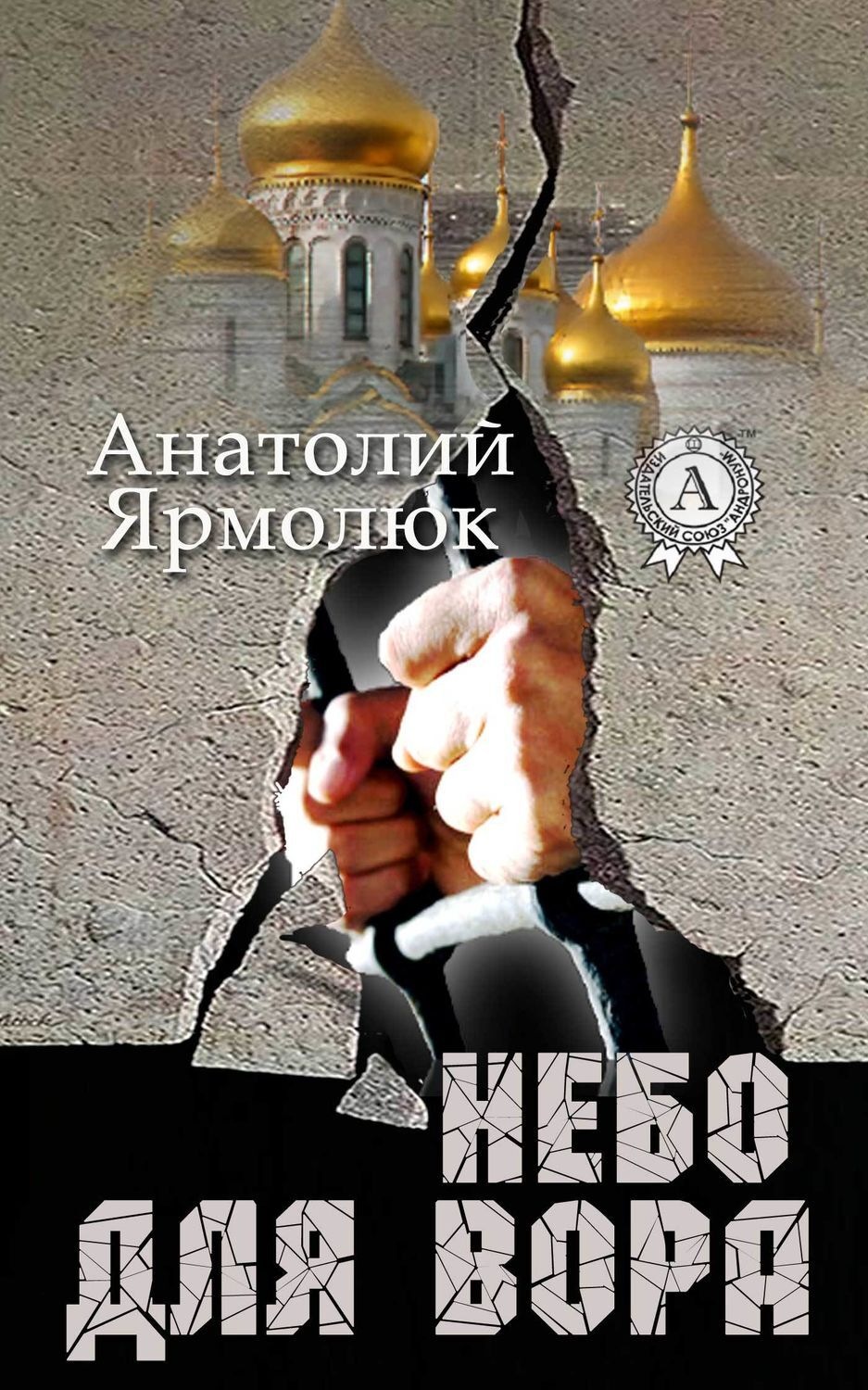 Обложка книги «Небо для вора»