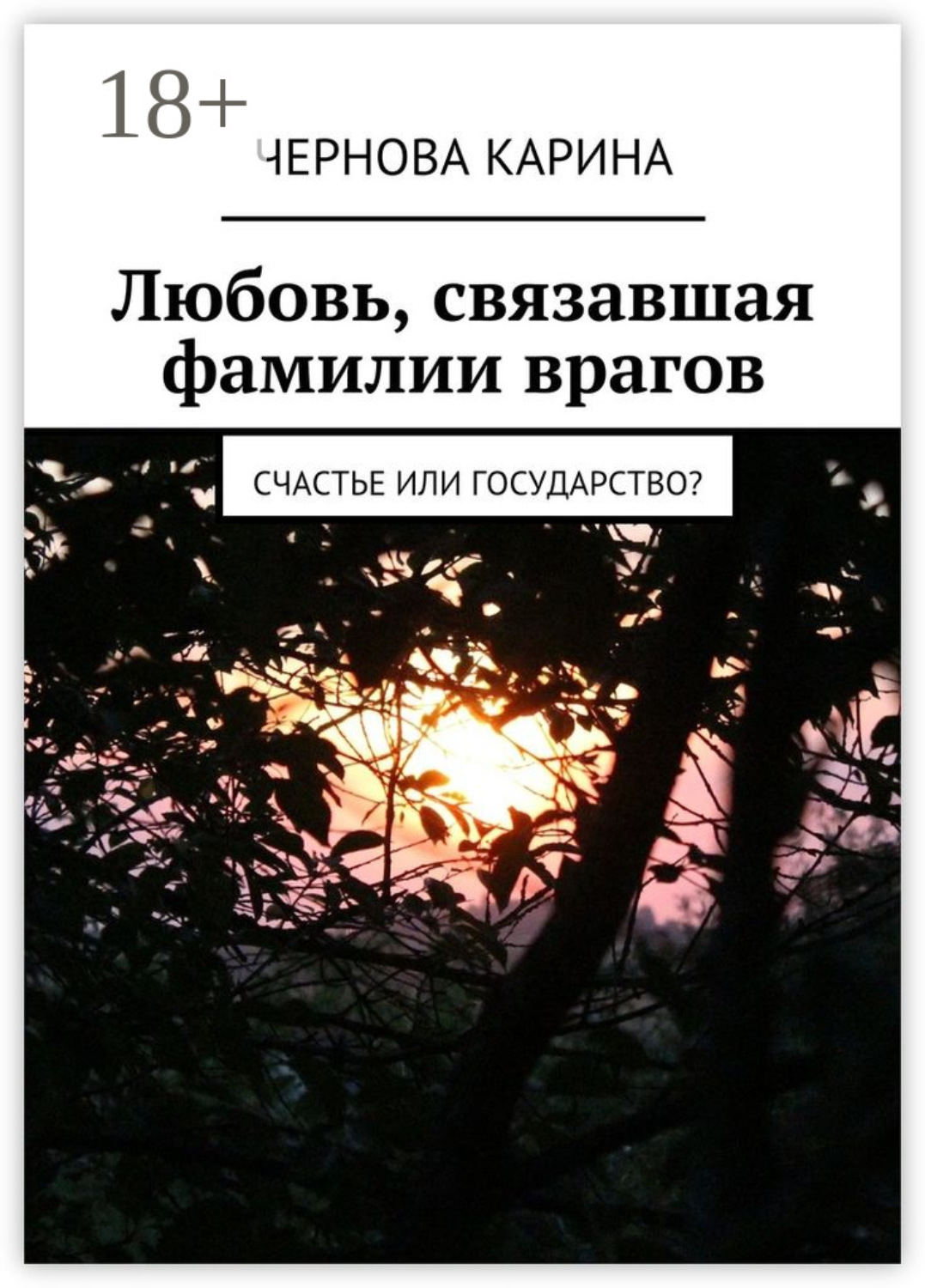 Обложка книги «Любовь, связавшая фамилии врагов. Счастье или государство?»