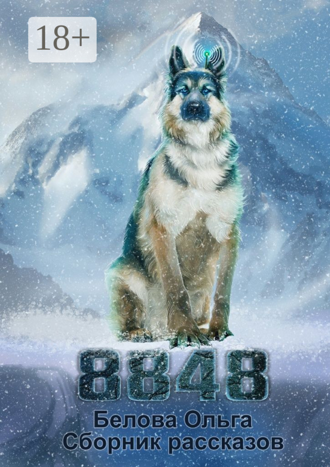 Обложка книги «8848. Сборник рассказов»