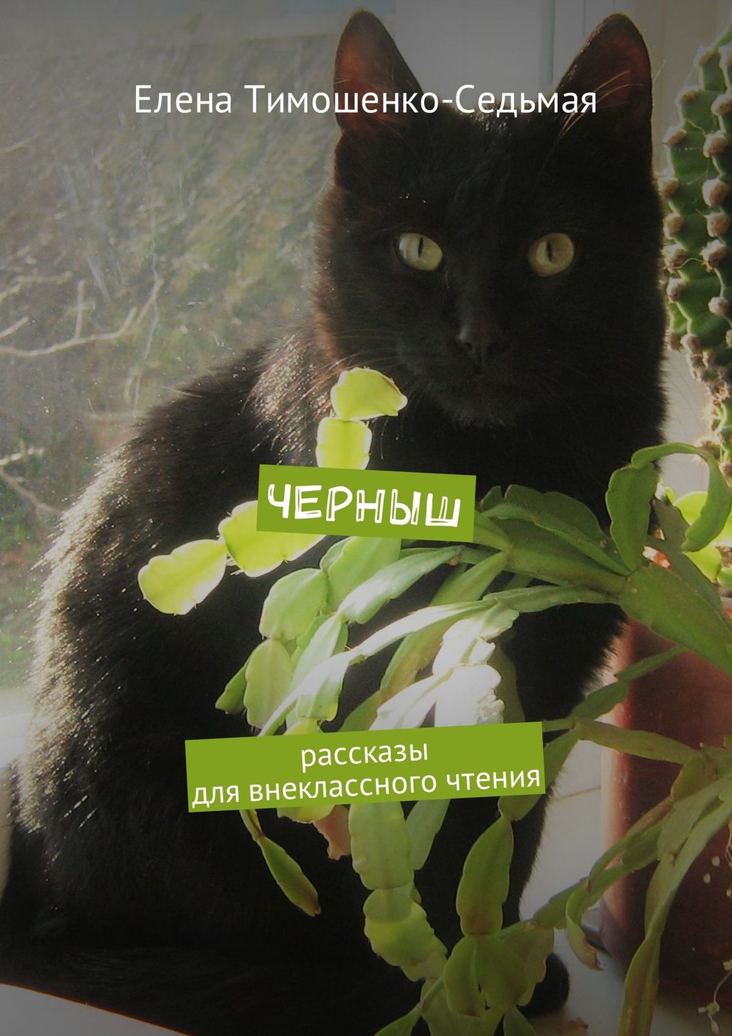 Обложка книги «Черныш. Рассказы для внеклассного чтения»