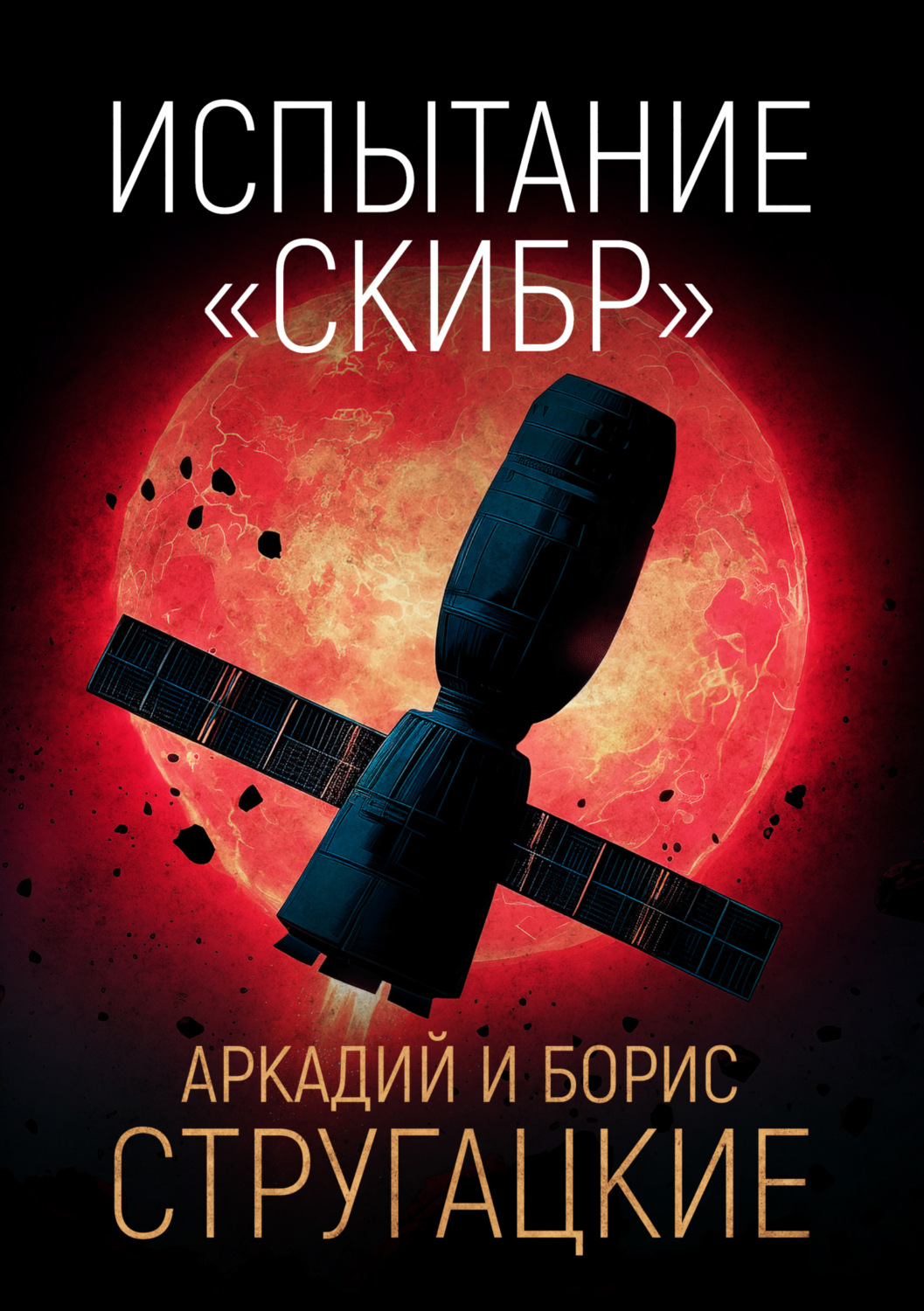 Обложка книги «Испытание «СКИБР»»