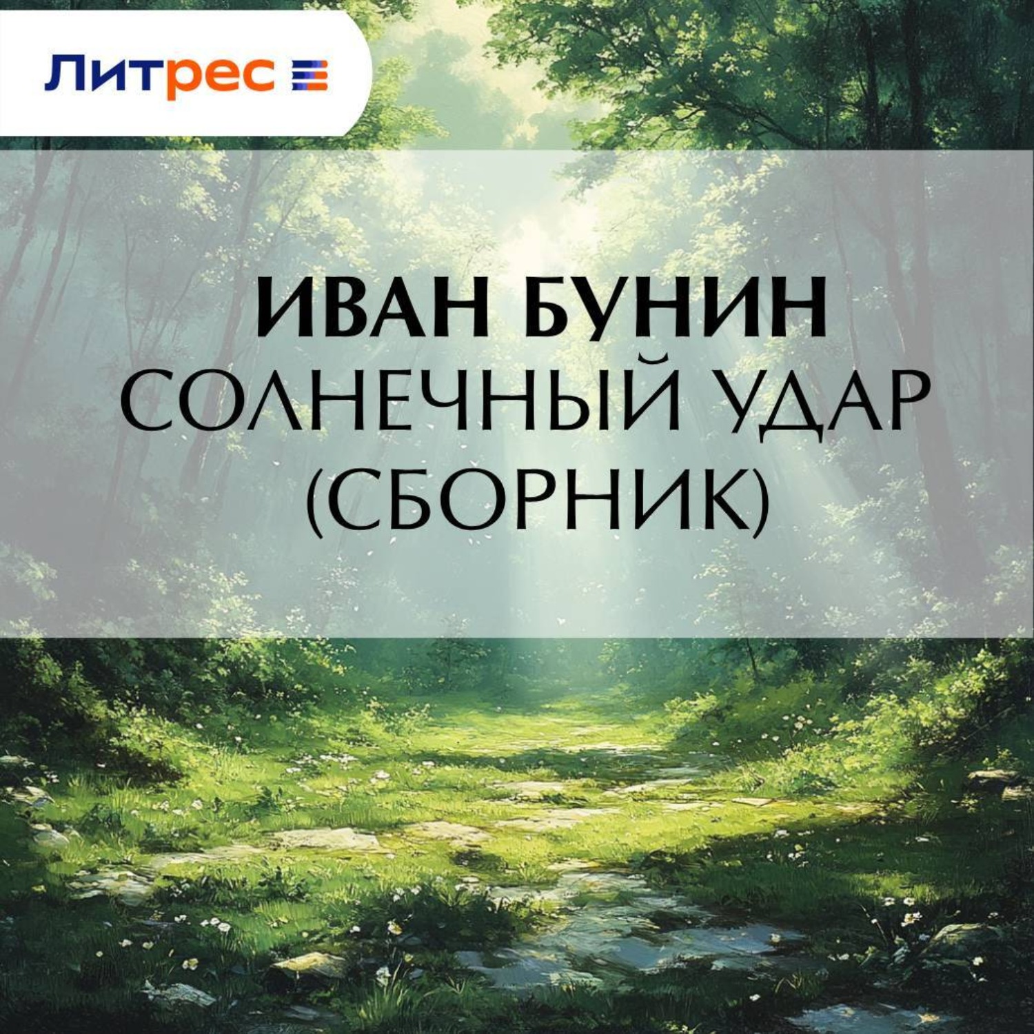 Обложка книги «Солнечный удар (сборник)»