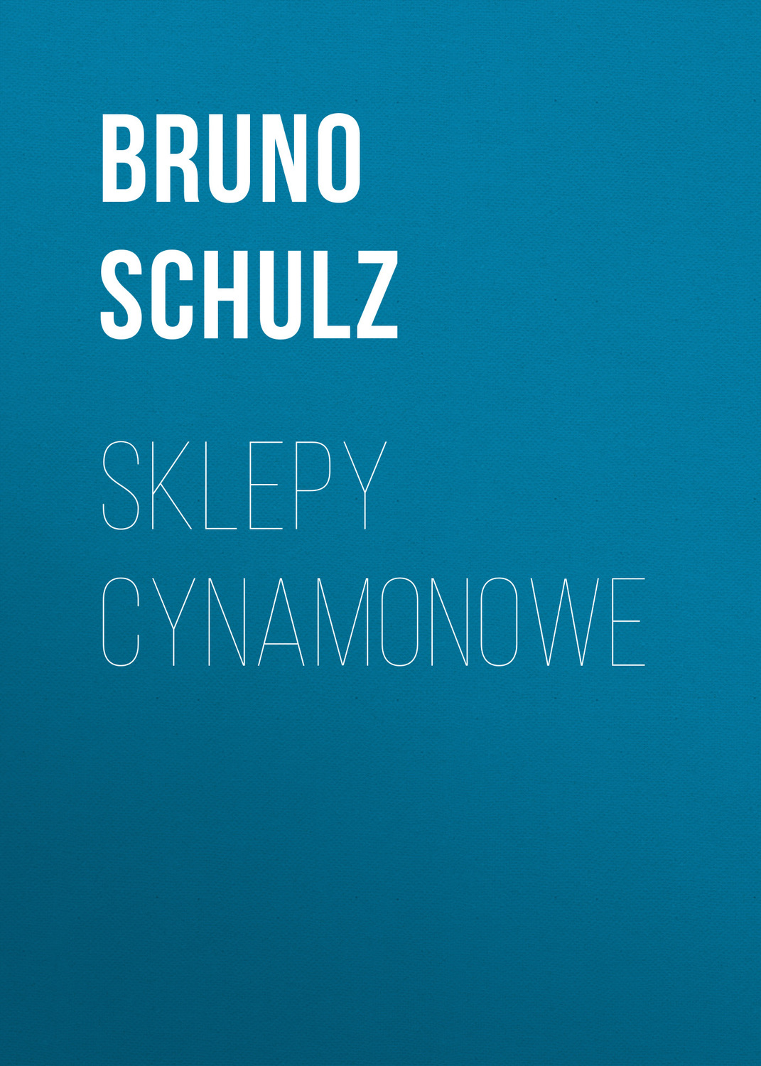Обложка книги «Sklepy cynamonowe»