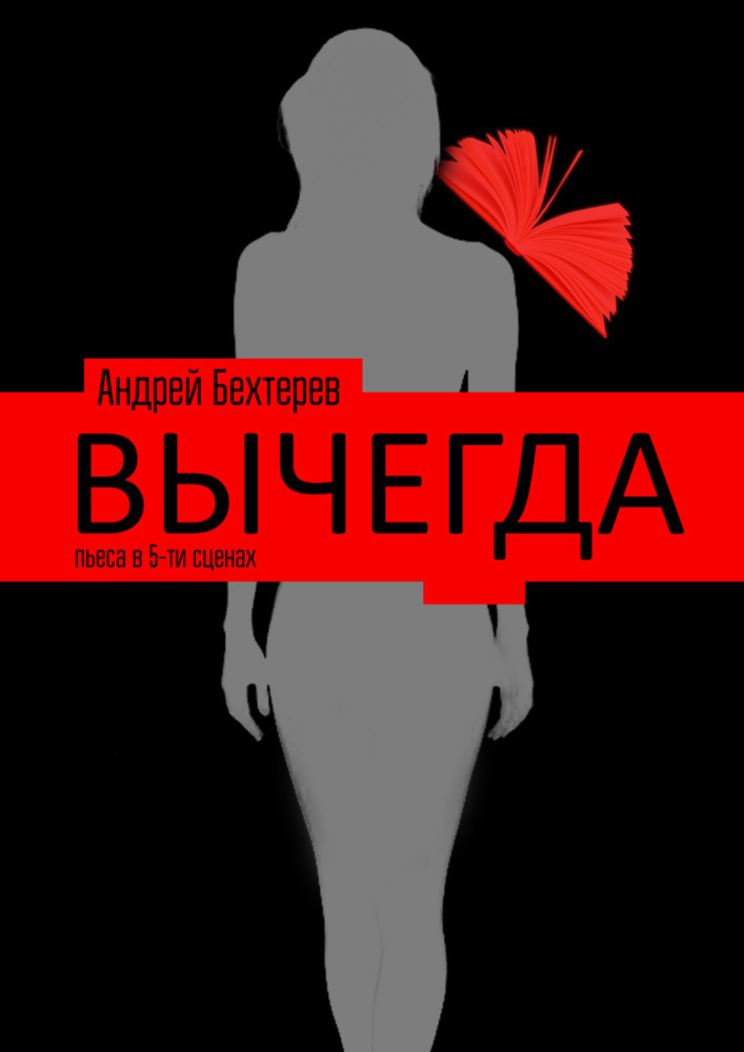 Обложка книги «Вычегда»