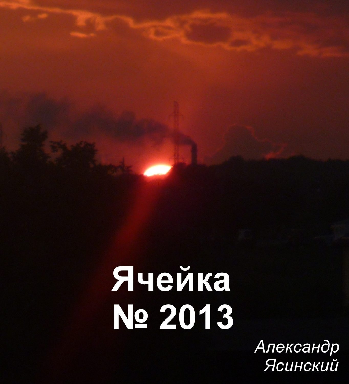 Обложка книги «Ячейка №2013»