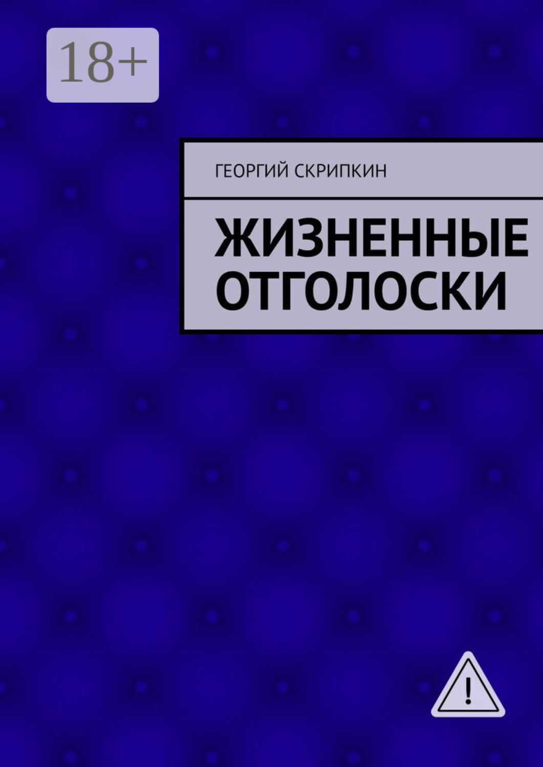 Обложка книги «Жизненные отголоски»