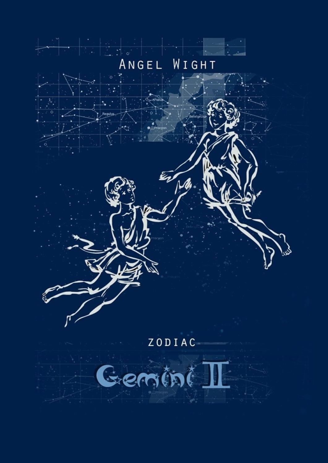 Обложка книги «Gemini. Zodiac»