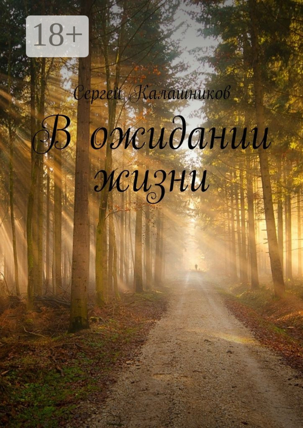 Обложка книги «В ожидании жизни»