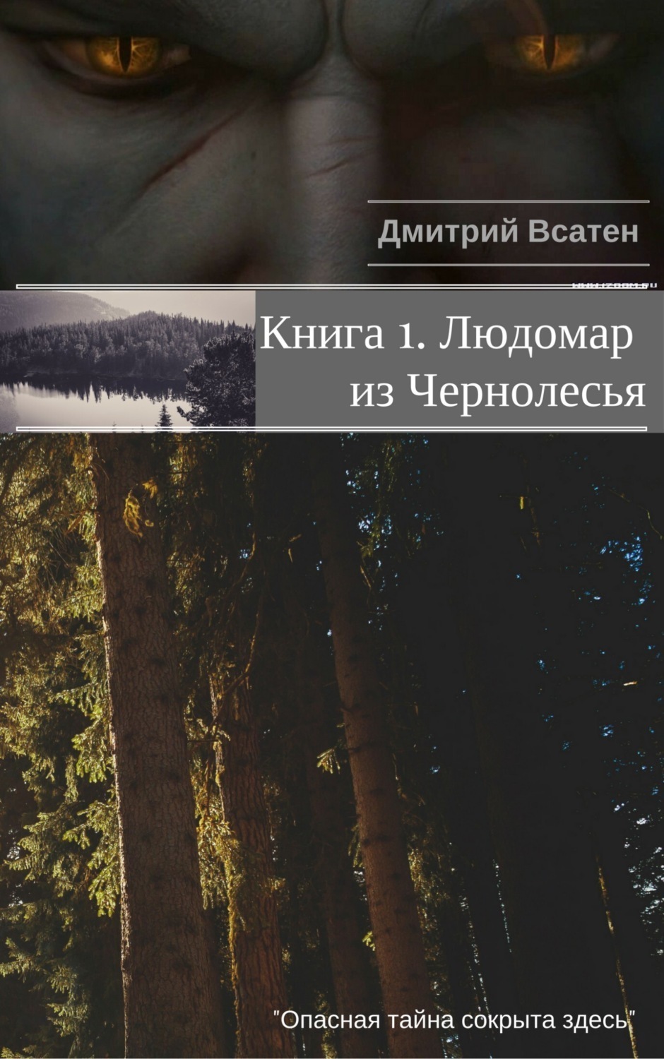 Обложка книги «Книга 1. Людомар из Чернолесья»