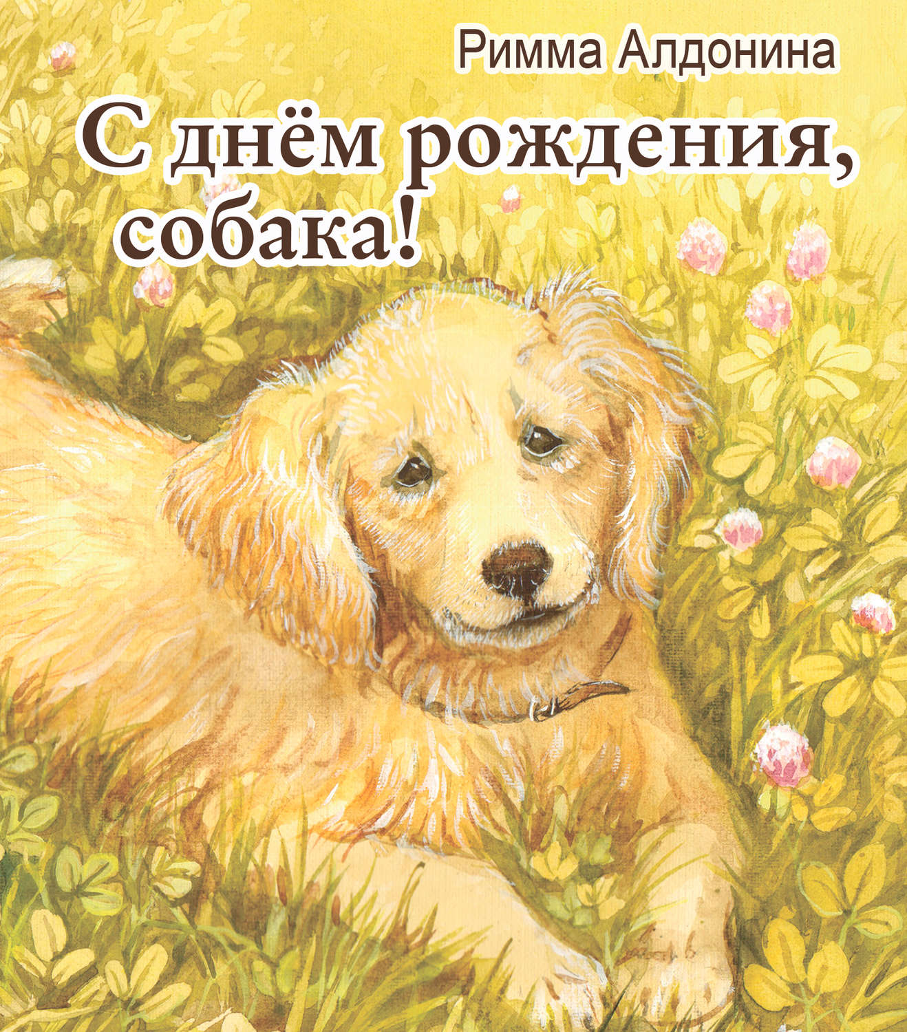 Обложка книги «С днем рождения, собака!»