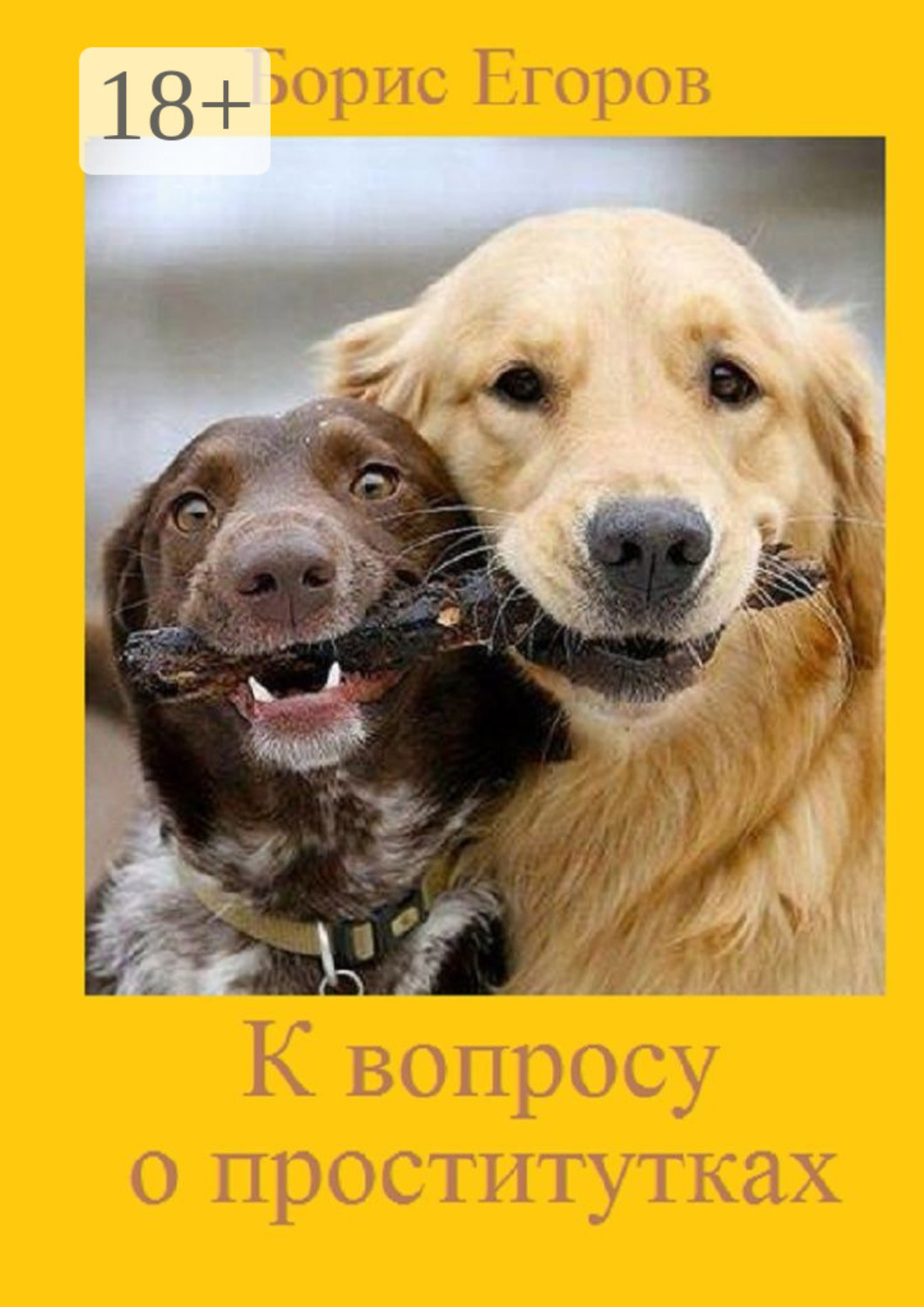Обложка книги «К вопросу о проститутках»