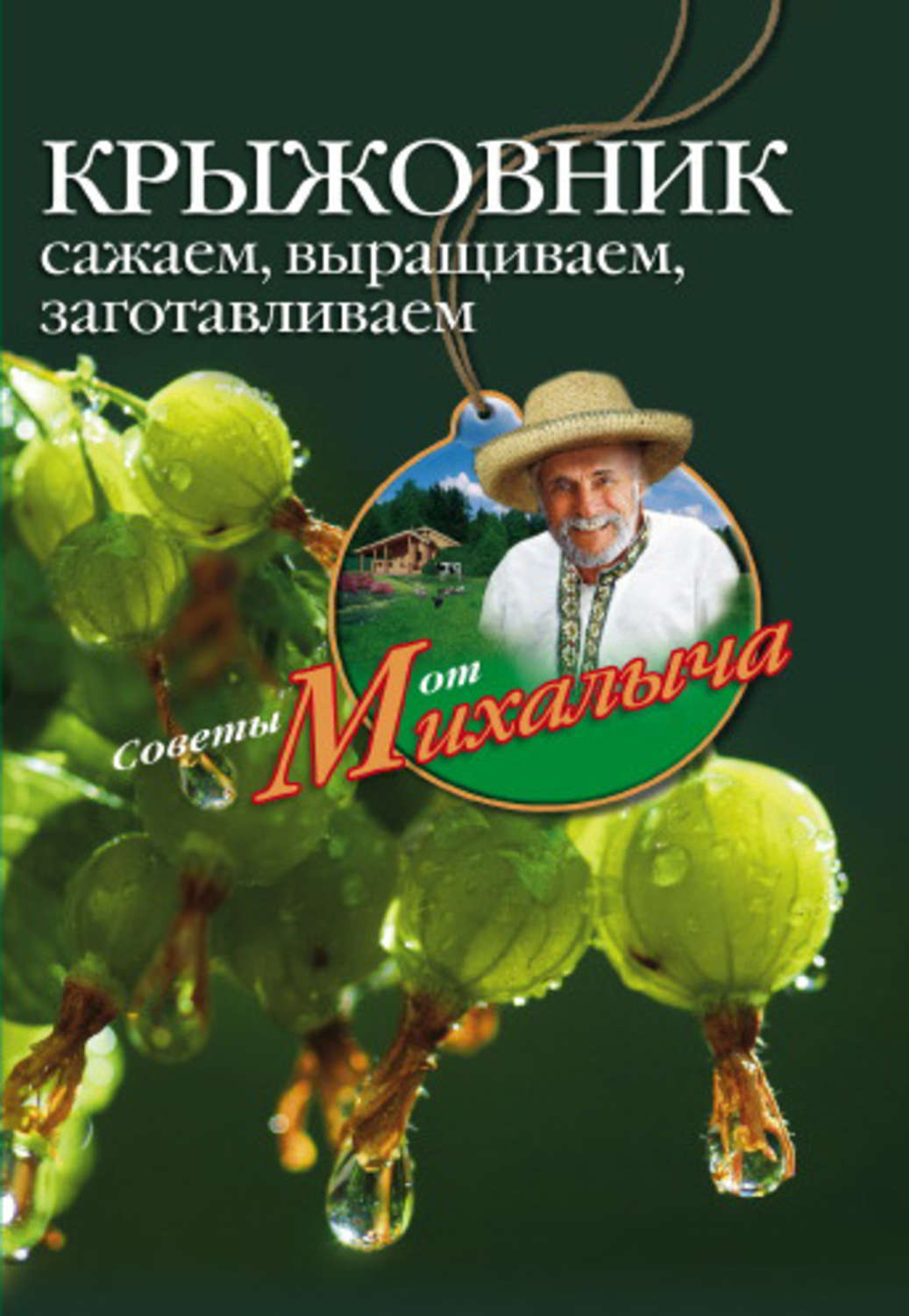 Обложка книги «Крыжовник. Сажаем, выращиваем, заготавливаем»