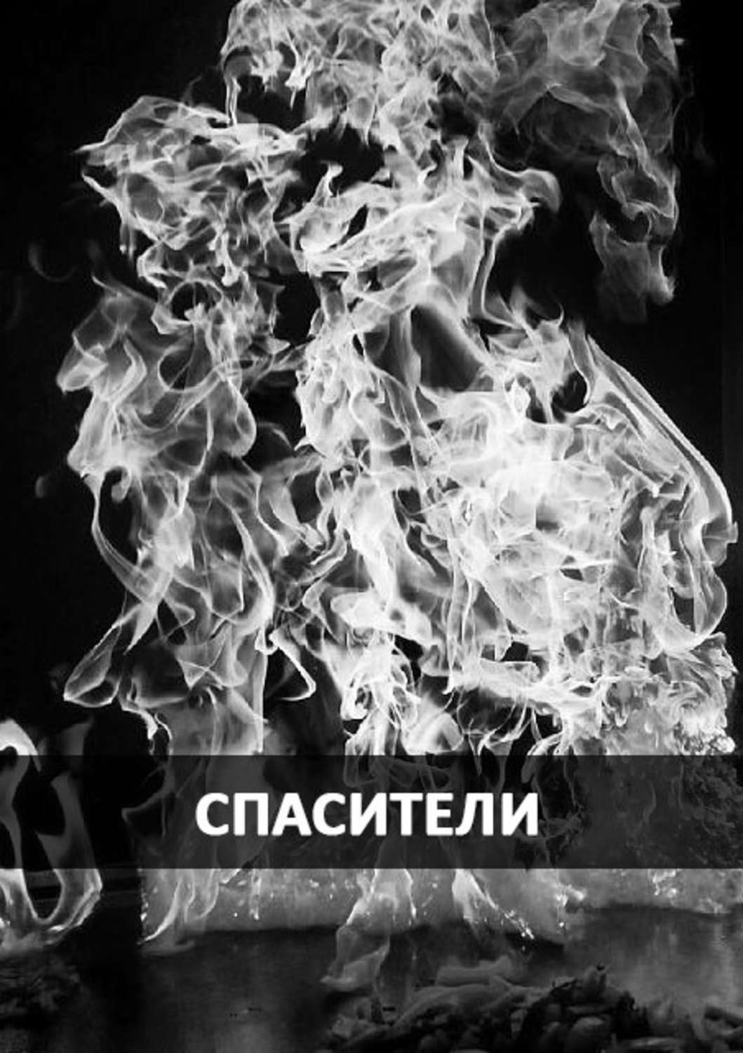 Обложка книги «Спасители»