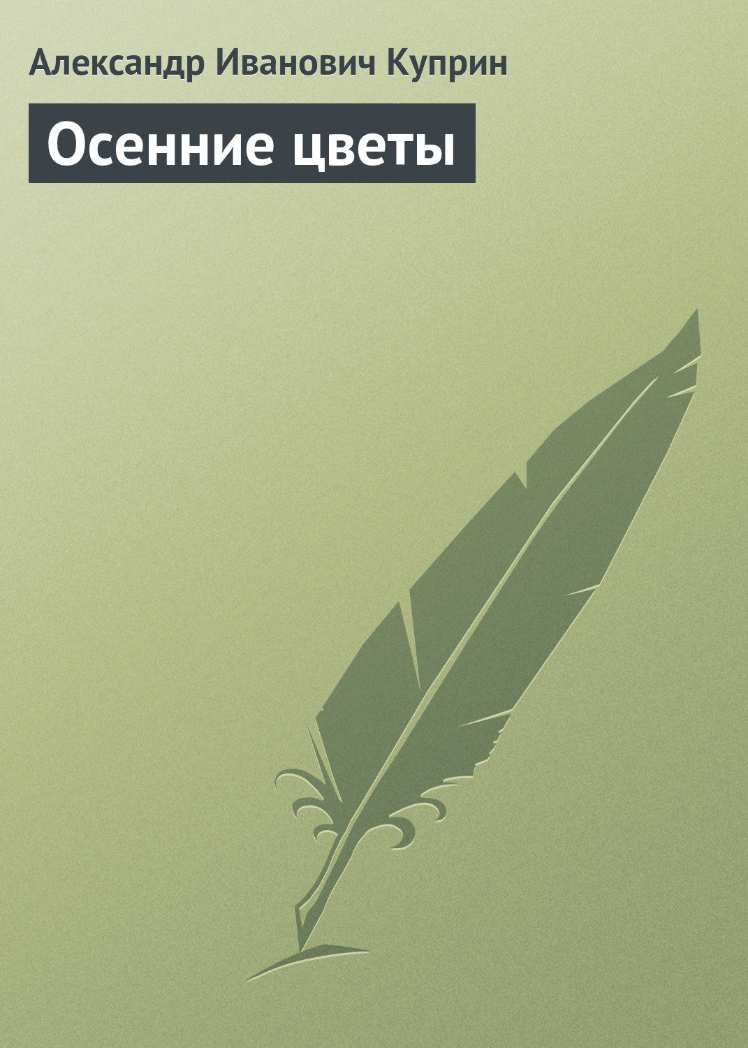 Обложка книги «Осенние цветы»