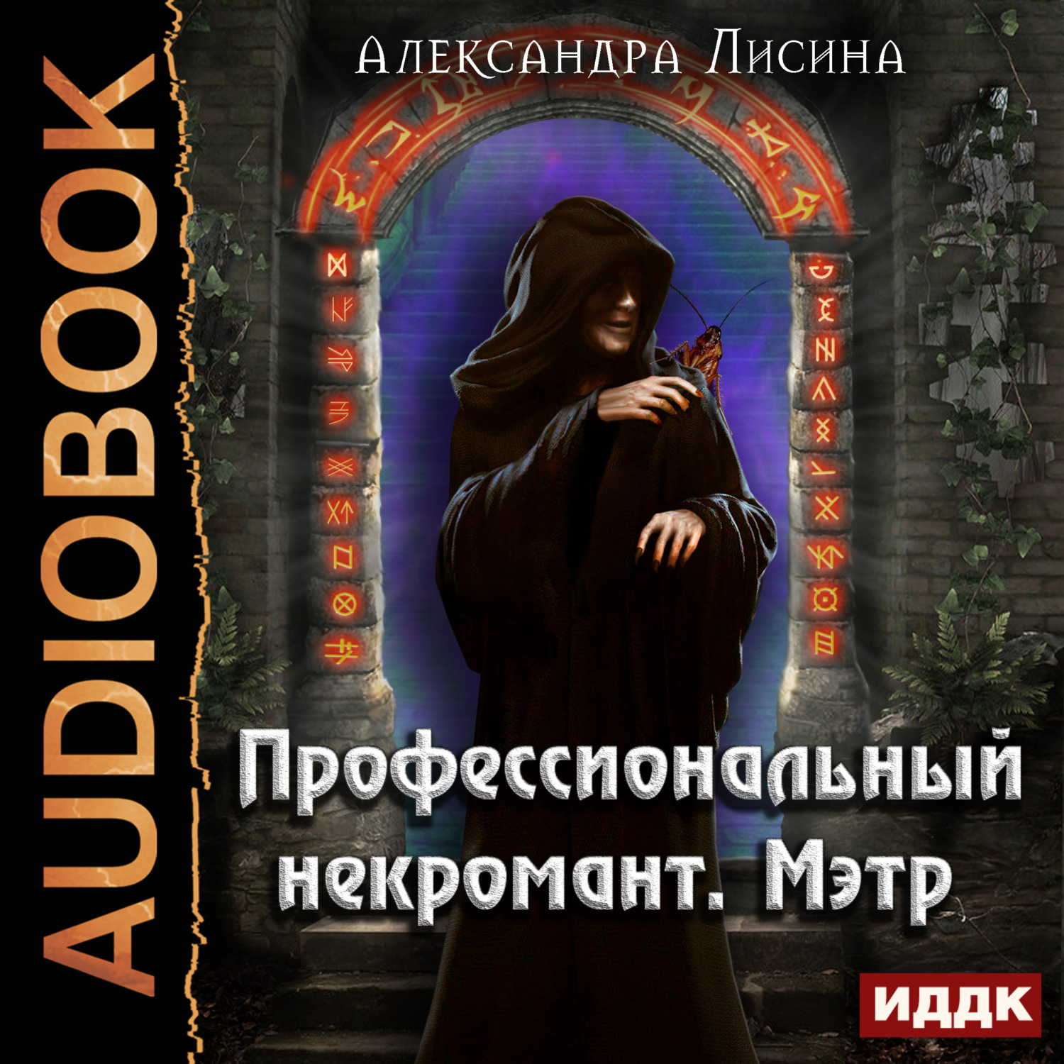 Обложка книги «Профессиональный некромант. Мэтр»