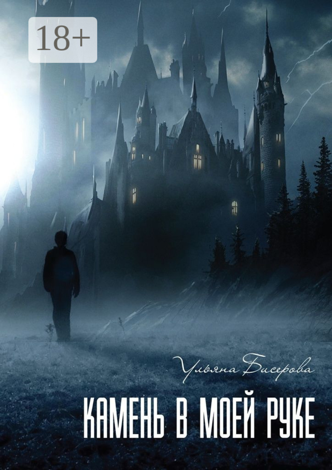 Обложка книги «Камень в моей руке»