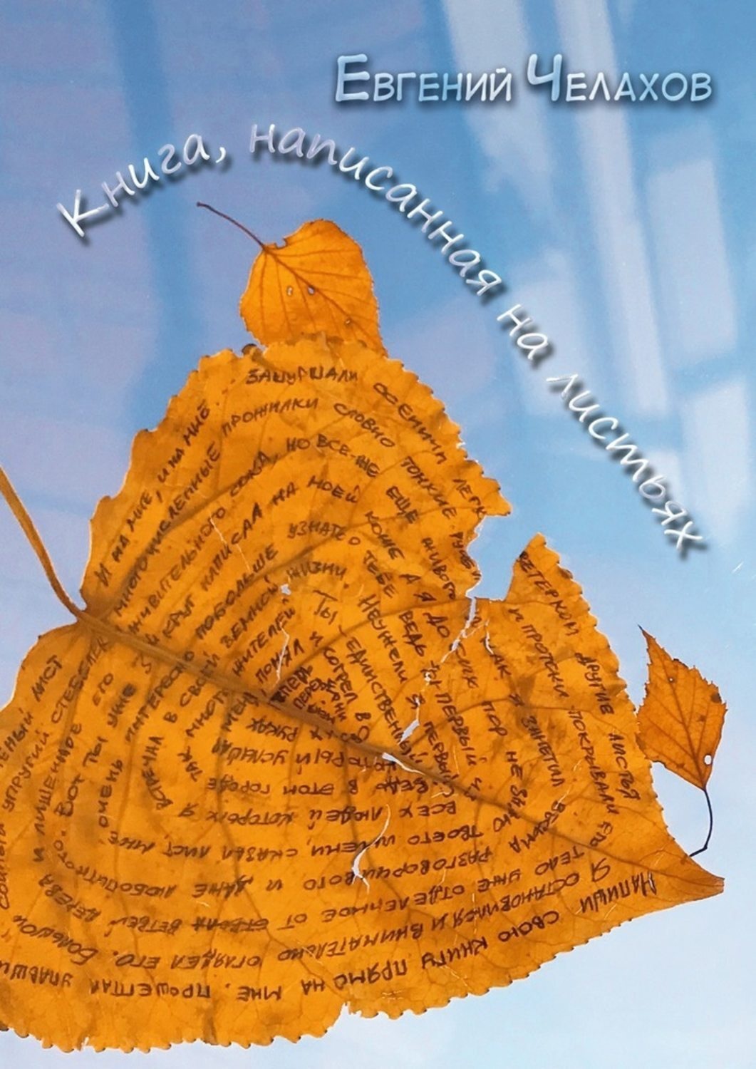 Обложка книги «Книга, написанная на листьях»