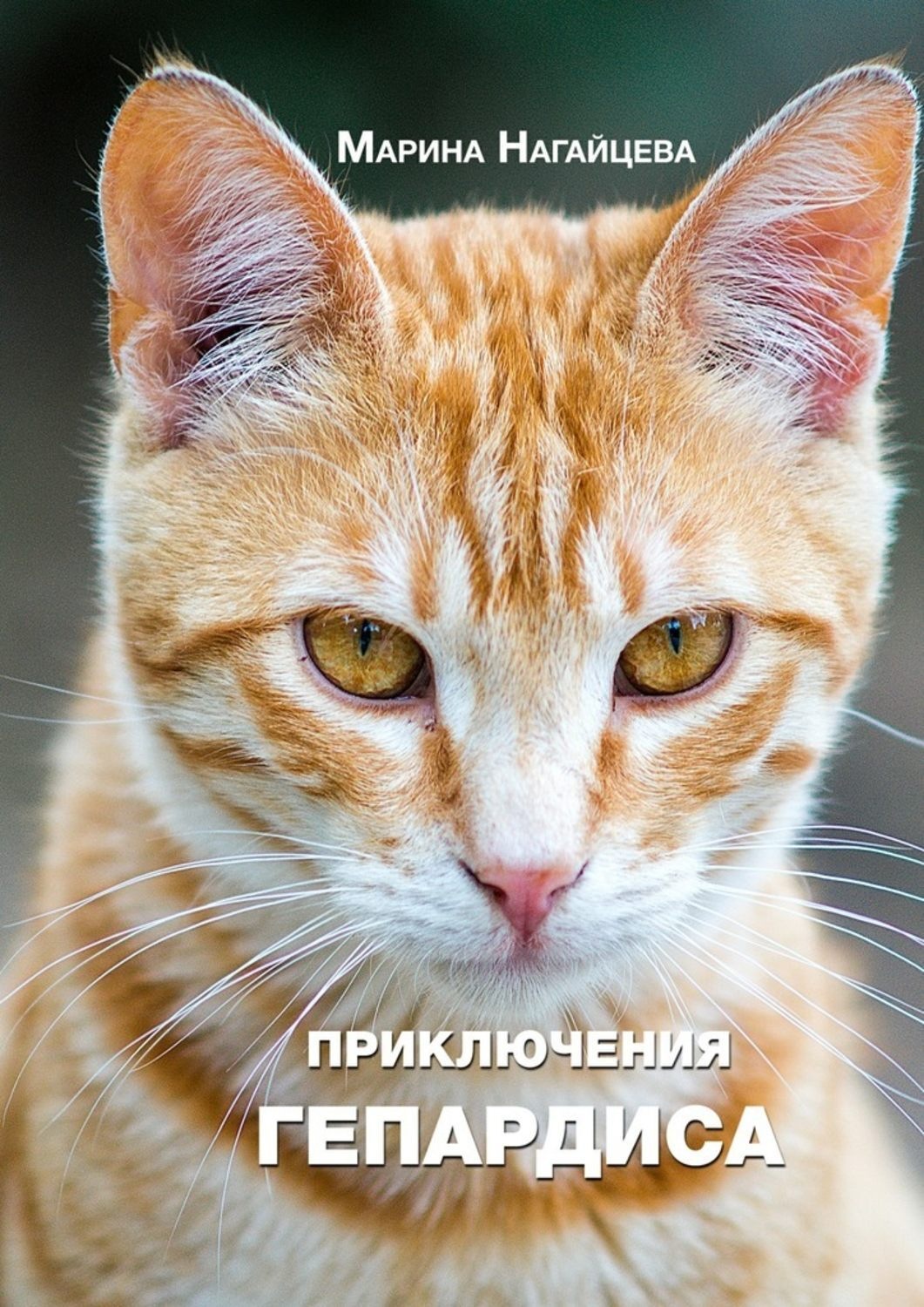Обложка книги «Приключения Гепардиса»