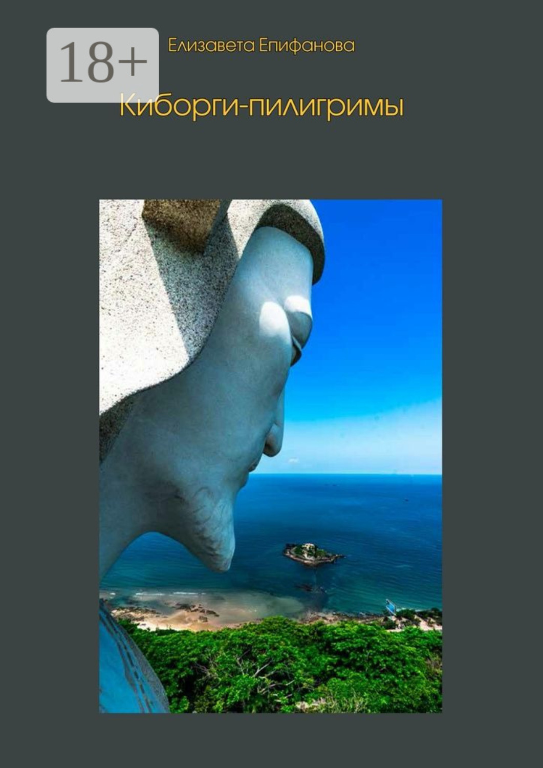 Обложка книги «Киборги-пилигримы»
