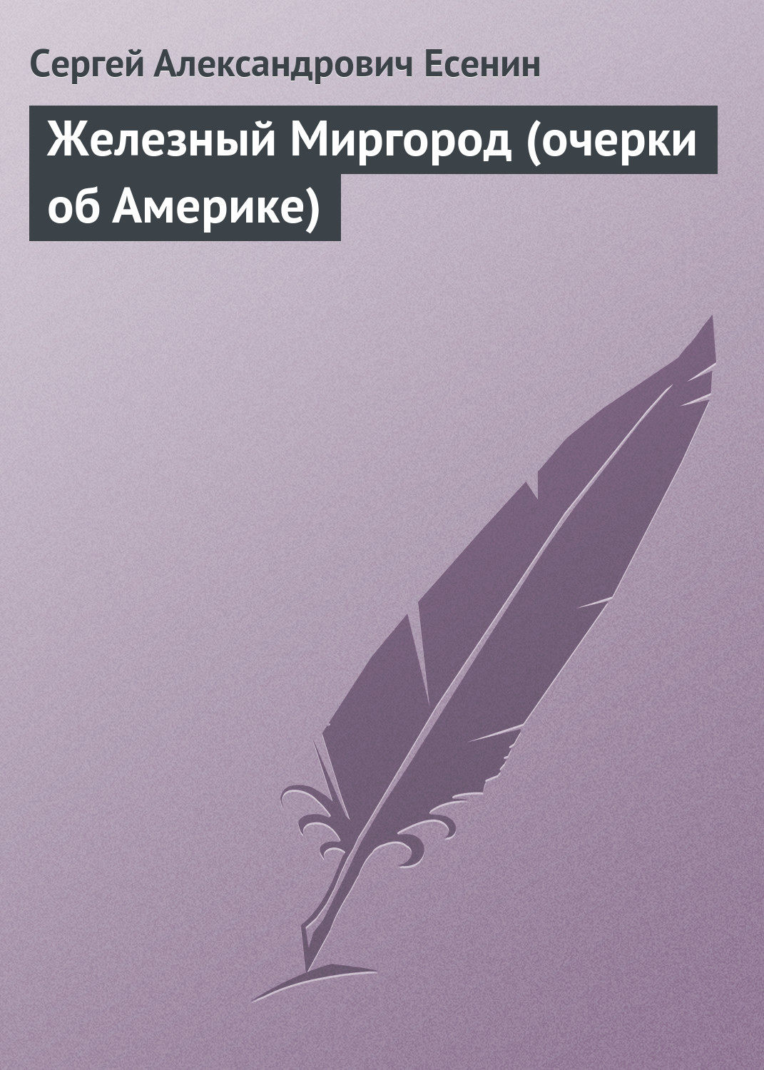 Обложка книги «Железный Миргород (очерки об Америке)»