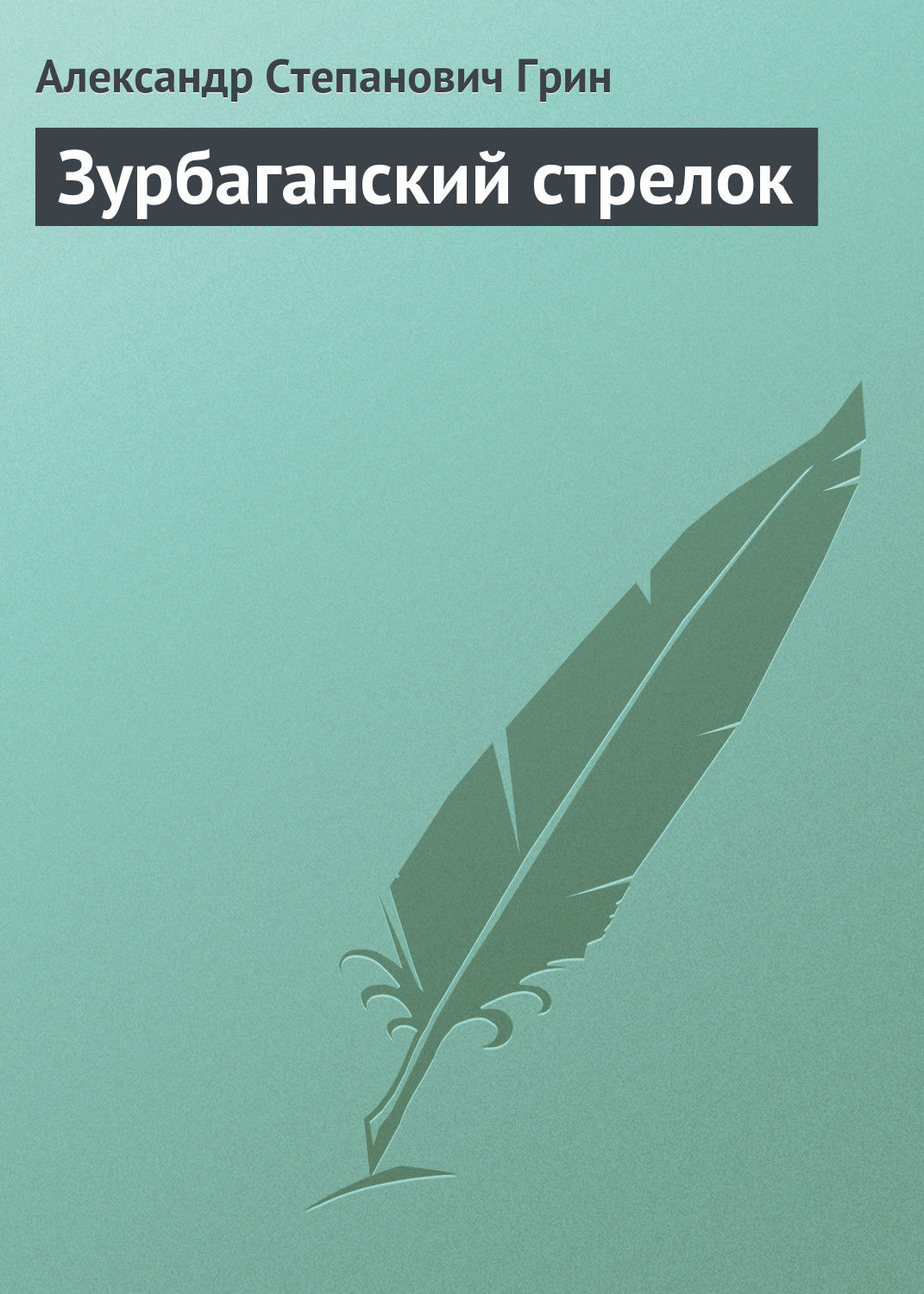 Обложка книги «Зурбаганский стрелок»