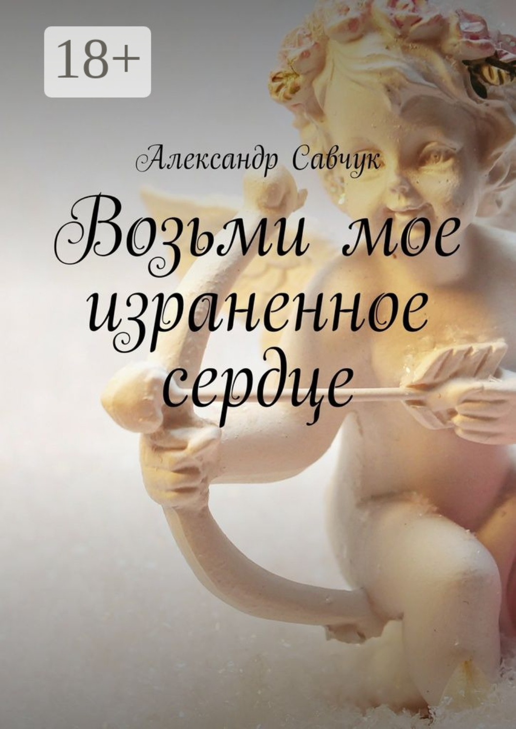Обложка книги «Возьми мое израненное сердце»
